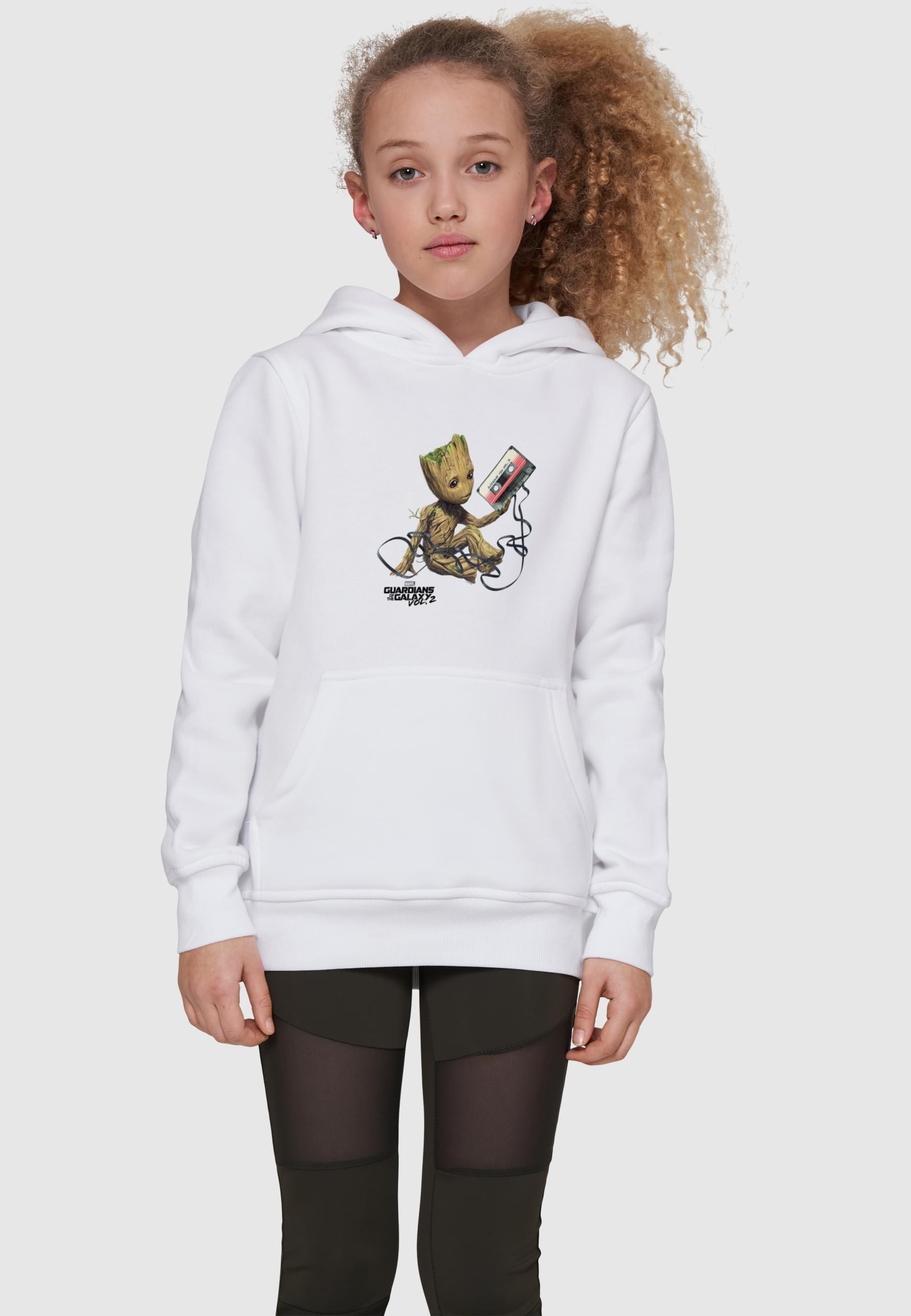 ABSOLUTE CULT Kapuzensweatshirt »ABSOLUTE CULT Herren«, (1 tlg.)