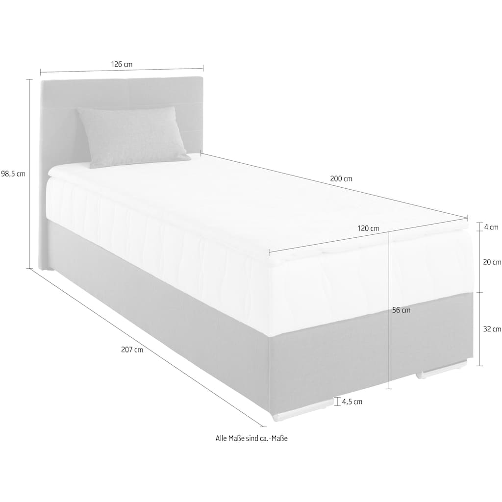 COTTA Boxspringbett Tom, mit Bettkasten, Topper und Zierkissen