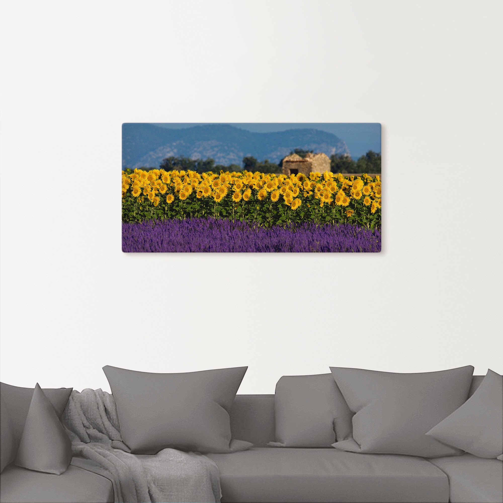 Artland Wandbild »Lavendel Sonnenblumen in der Provence«, Blumenwiese, (1 St.), als Alubild, Leinwandbild, Wandaufkleber oder Poster in versch. Größen