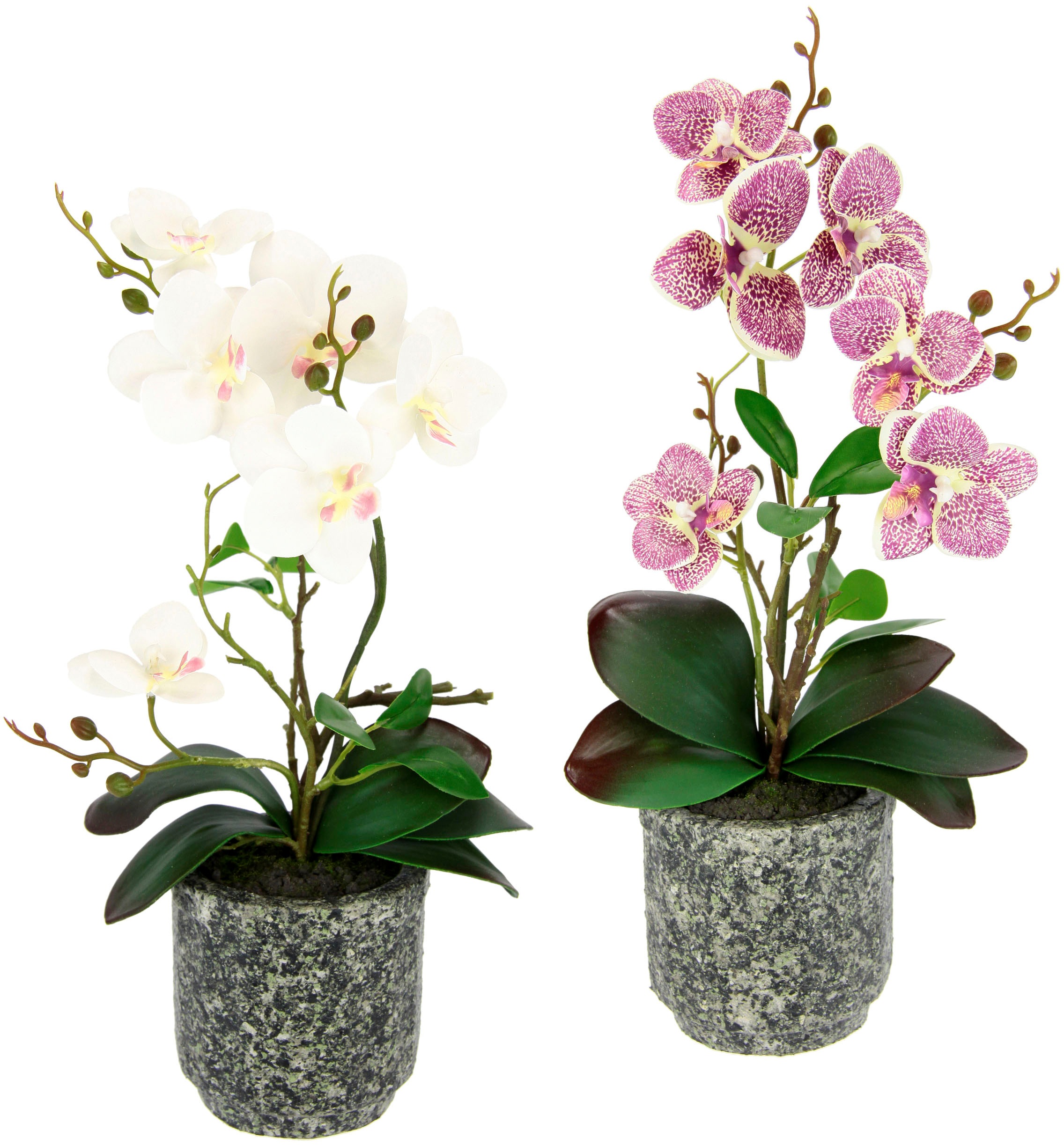 OTTO home Kunstpflanze "Orchidee" Mit Blättern und Luftwurzeln, im Topf aus Keramik, 2er Set