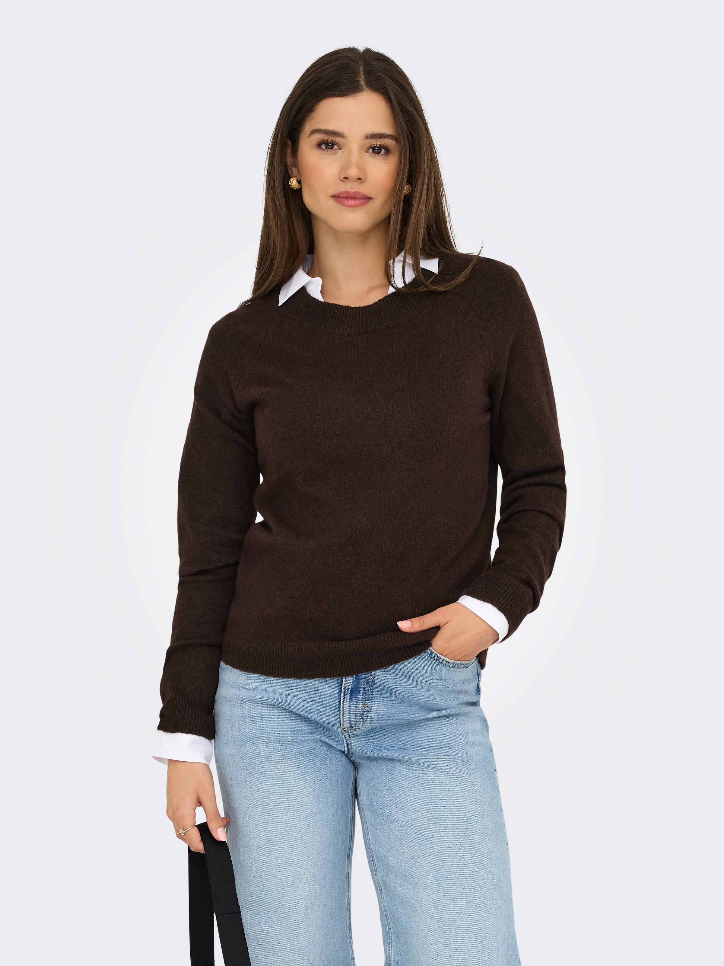 ONLY Rundhalspullover "ONLRICA LIFE L/S PULLOVER KNT NOOS" günstig online kaufen