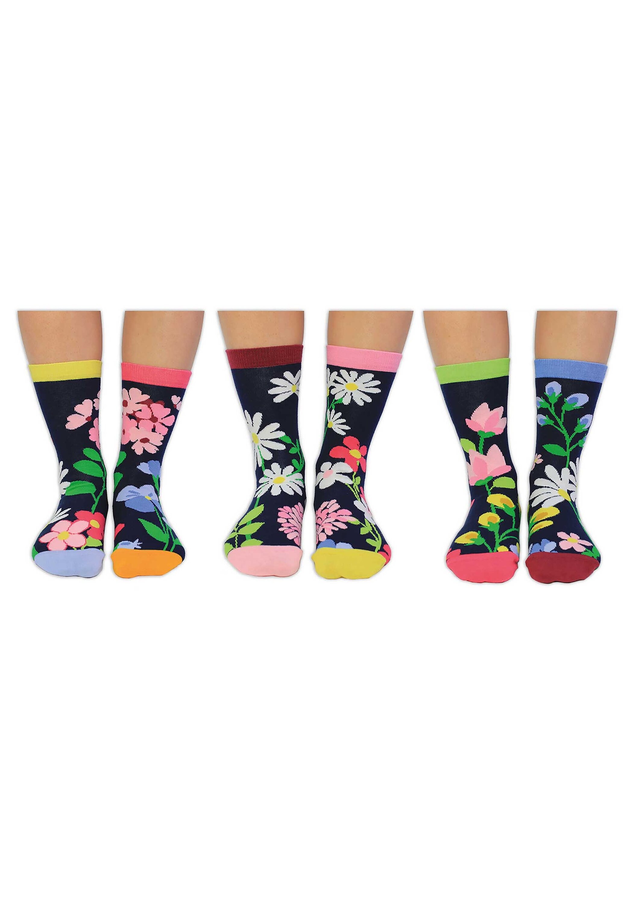 United Oddsocks Kurzsocken »Socken 3er Pack«