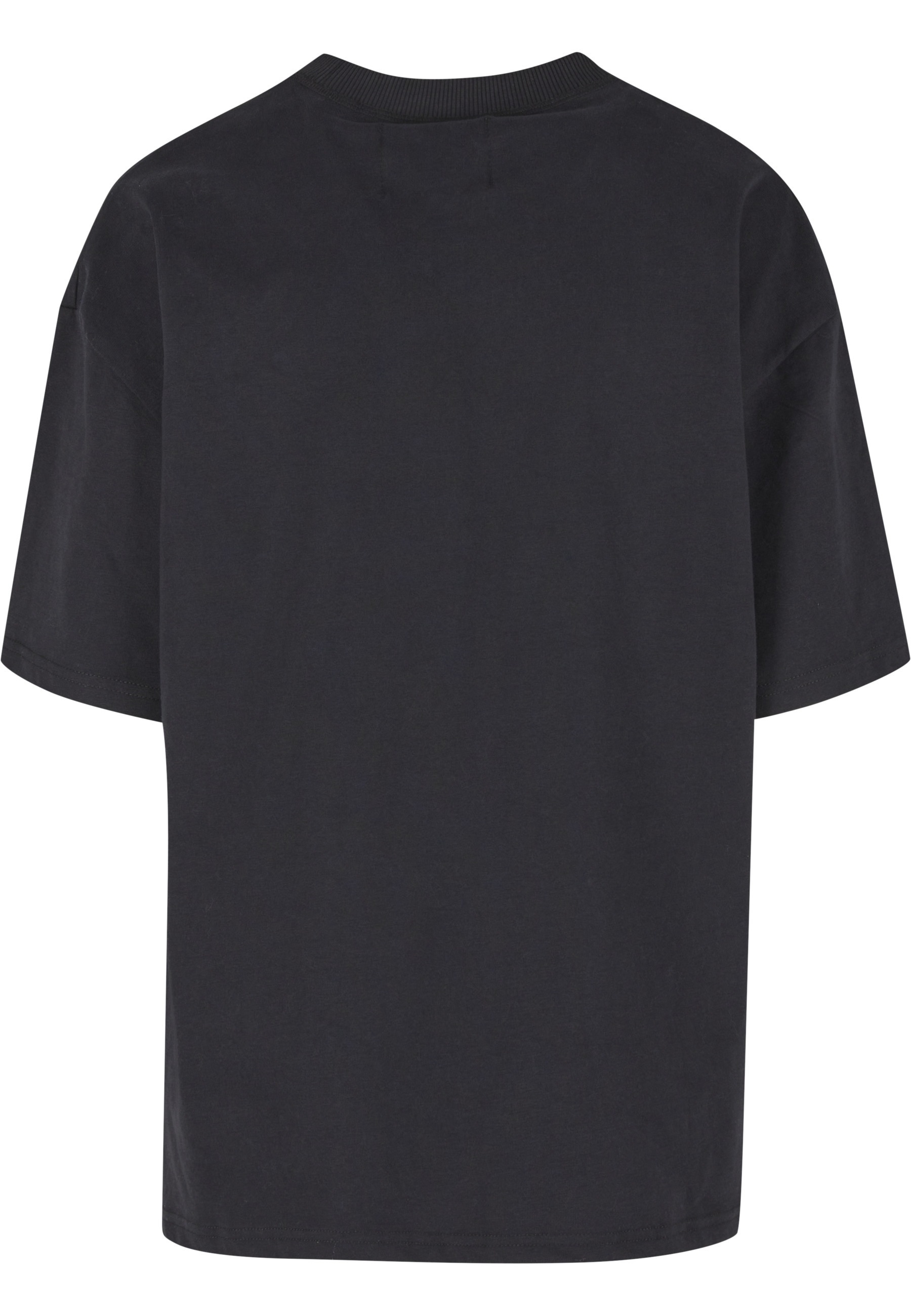 PEQUS T-Shirt »PEQUS PEQUS Ancient Painting T-Shirt« 1 Stk.