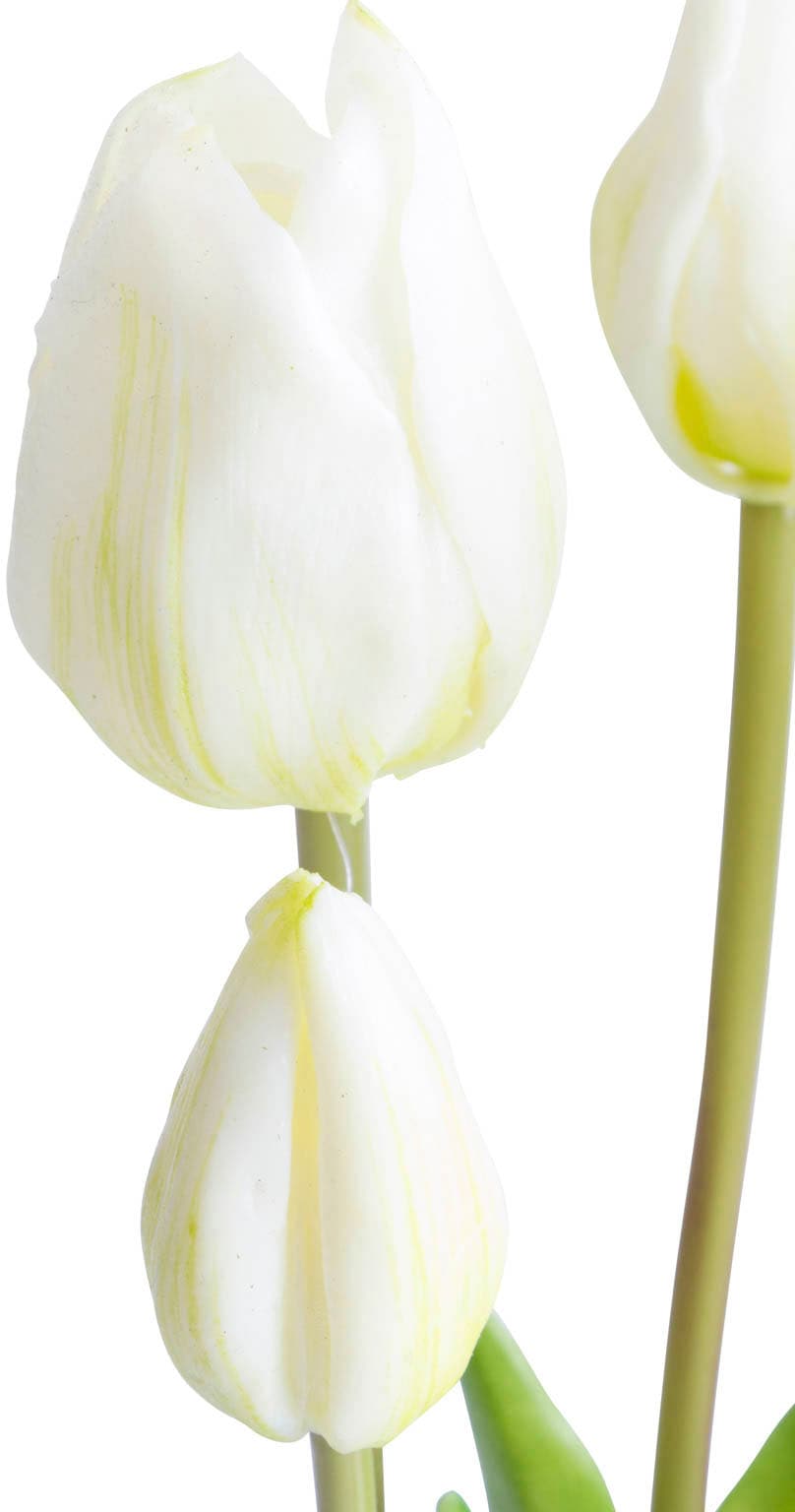 Botanic-Haus Kunstblume »Tulpenbündel« kaufen | BAUR