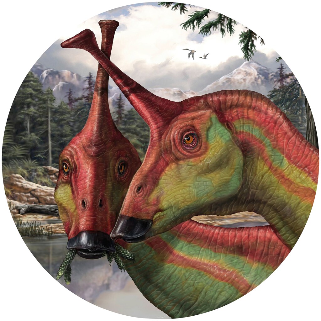 Komar Fototapete »Tsintaosaurus«, bedruckt-Comic-Retro-mehrfarbig