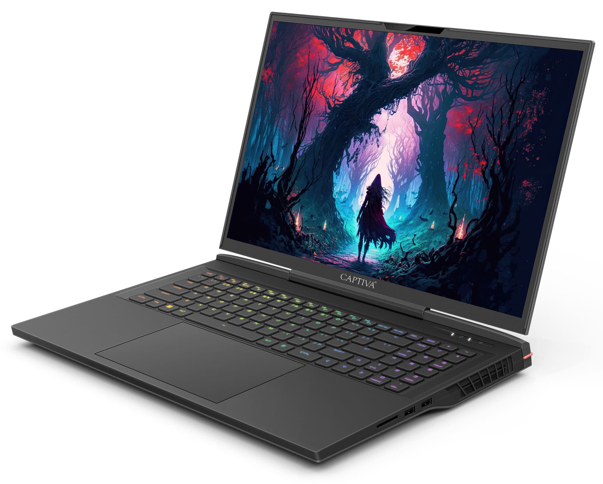 CAPTIVA Gaming-Notebook »Ultimate Gaming I81-608«, Intel, Core i9, 2000 GB SSD