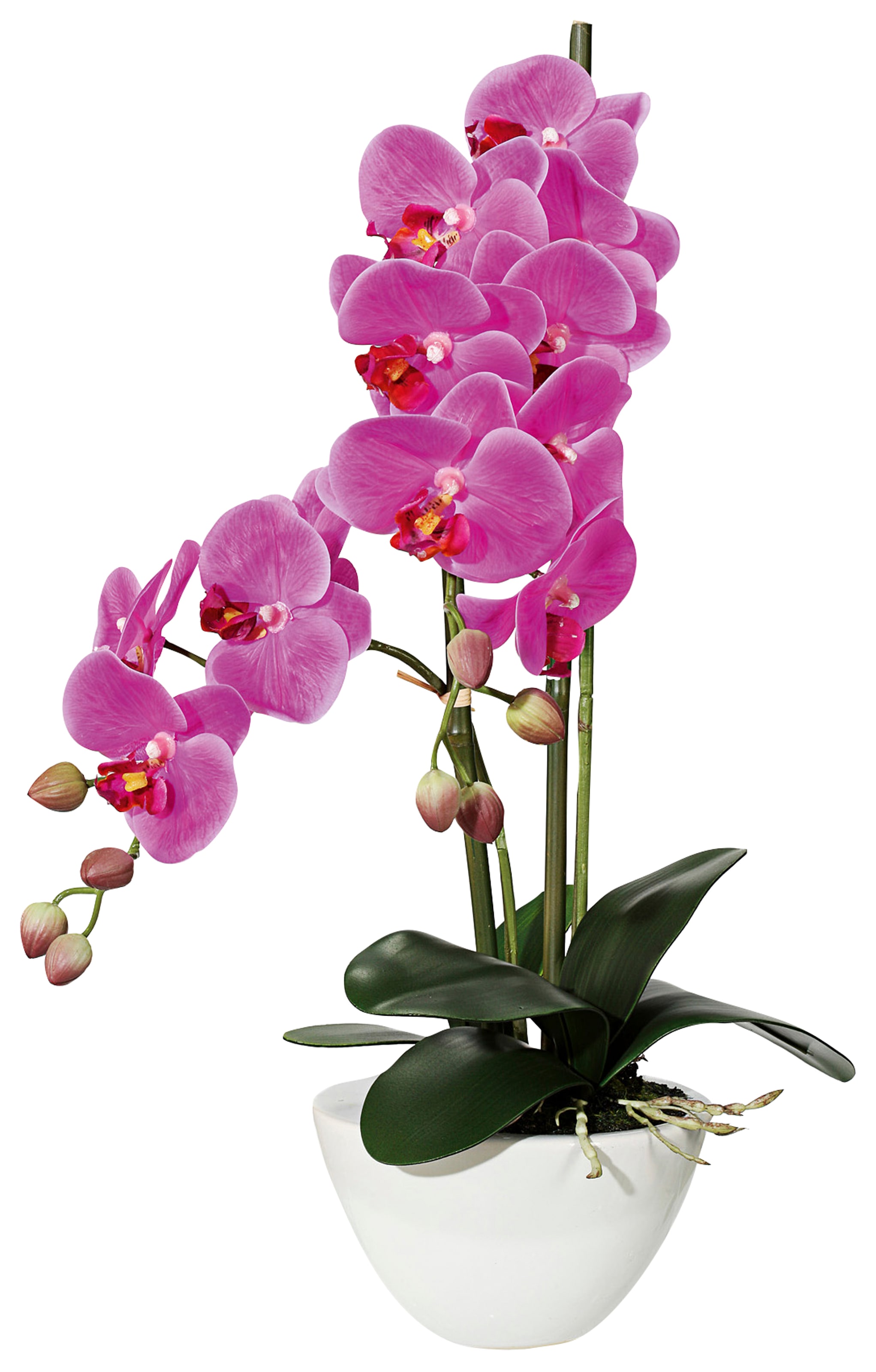 Creativ green Kunstpflanze "Orchidee" günstig online kaufen