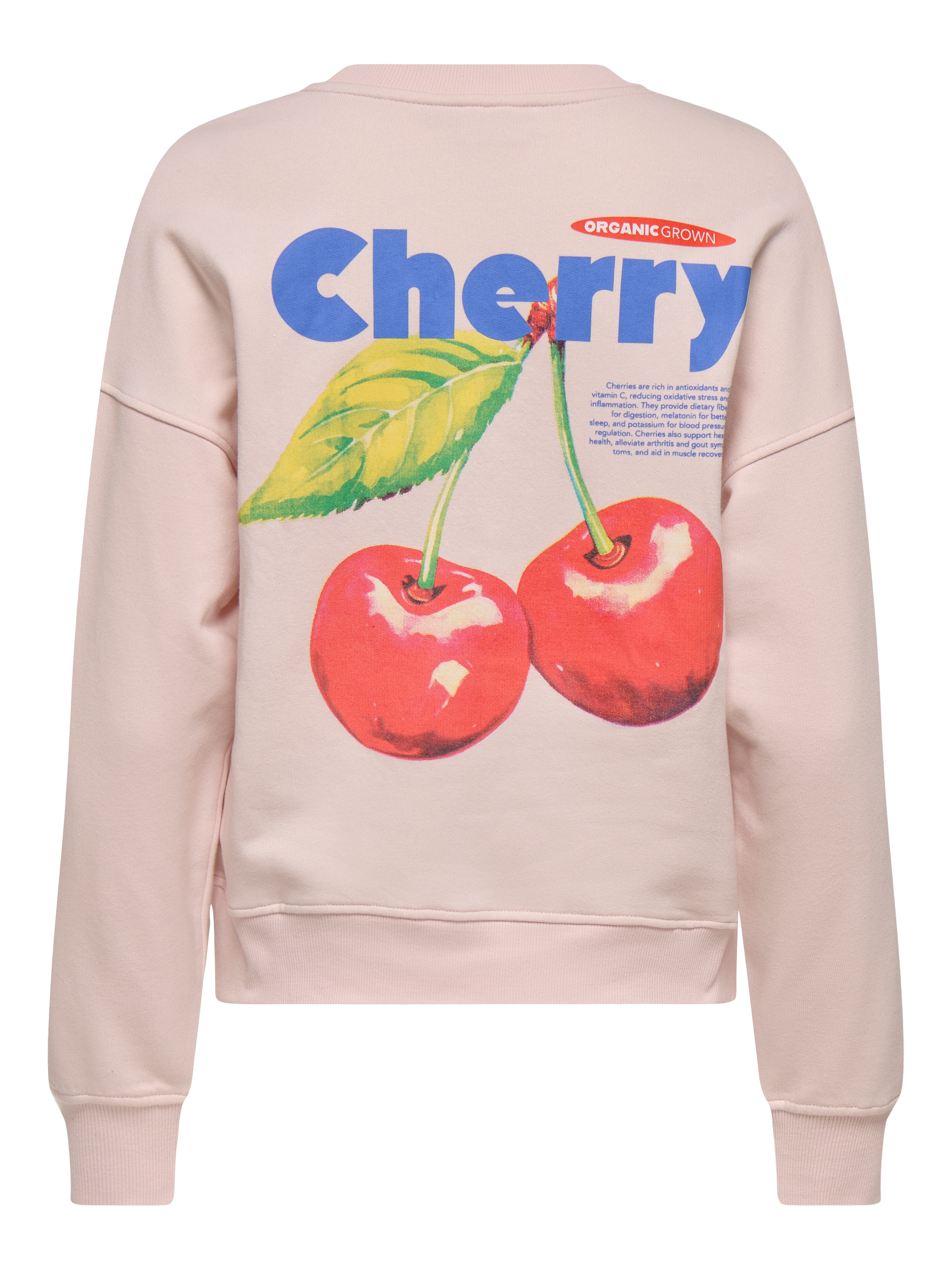 ONLY Sweatshirt »ONLPHILEA L/S FRUIT O-NECK UB SWT«