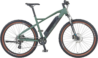 E-Bike »DICE 1.0«, 8 Gang, Shimano, Altus, Heckmotor 250 W