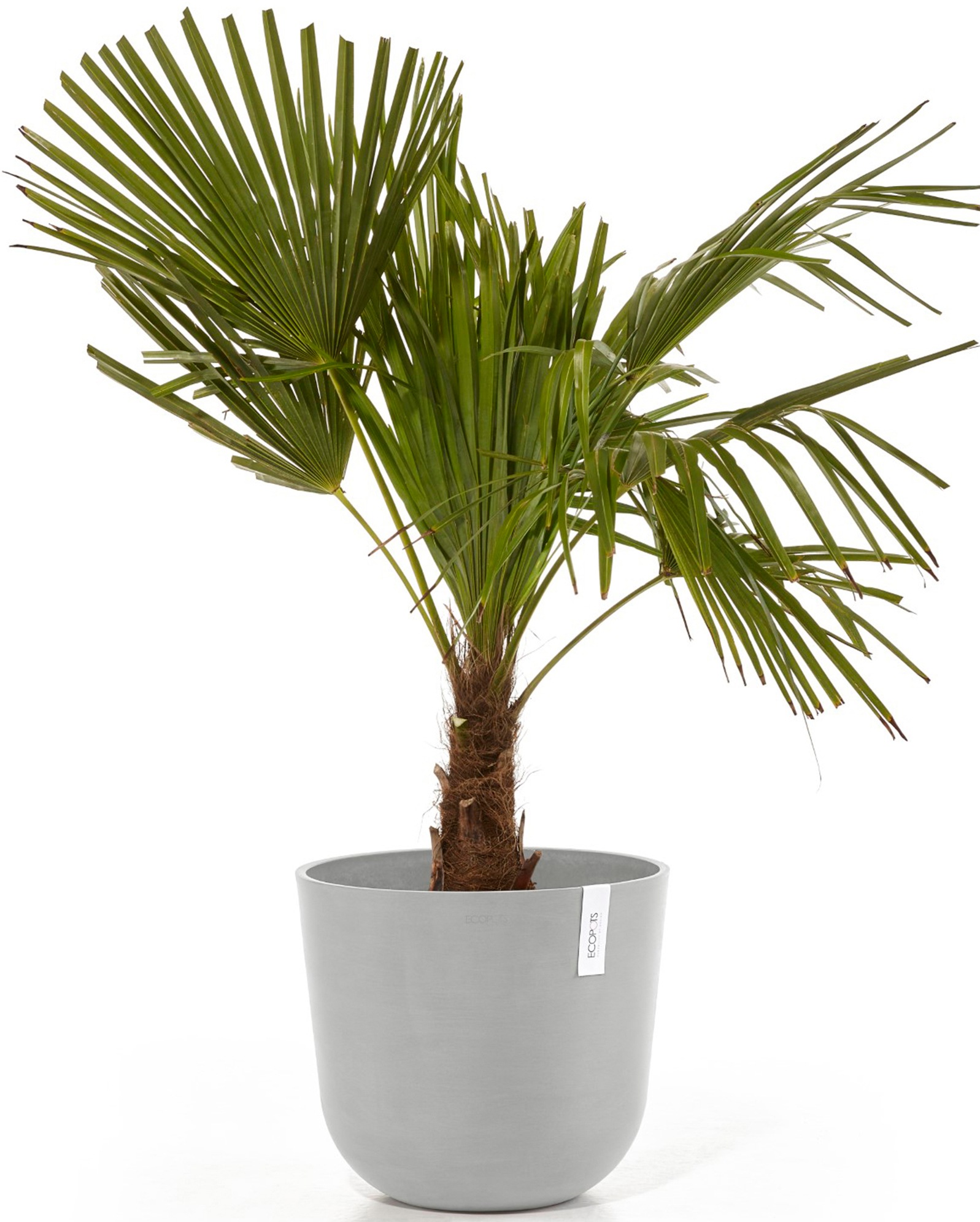ECOPOTS Blumentopf »Oslo 35 + Wassersystem Weißgrau«, für innen und außen: frostsicher, bruchsicher und lichtbeständig