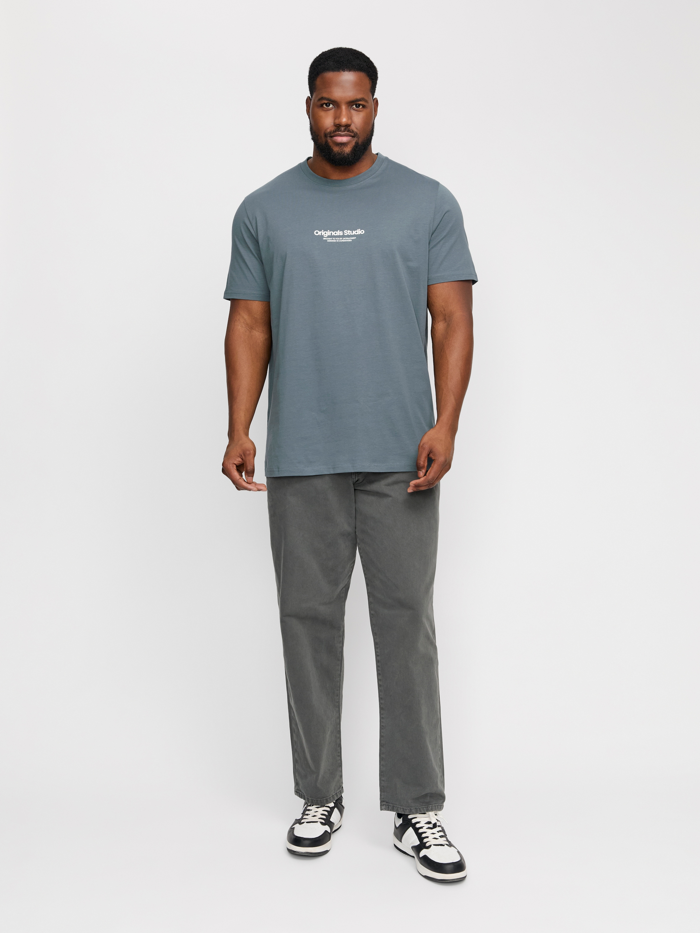 Jack & Jones PlusSize Kurzarmshirt »JORVESTERBRO TEE SS CREW NECK NOOS PLS«