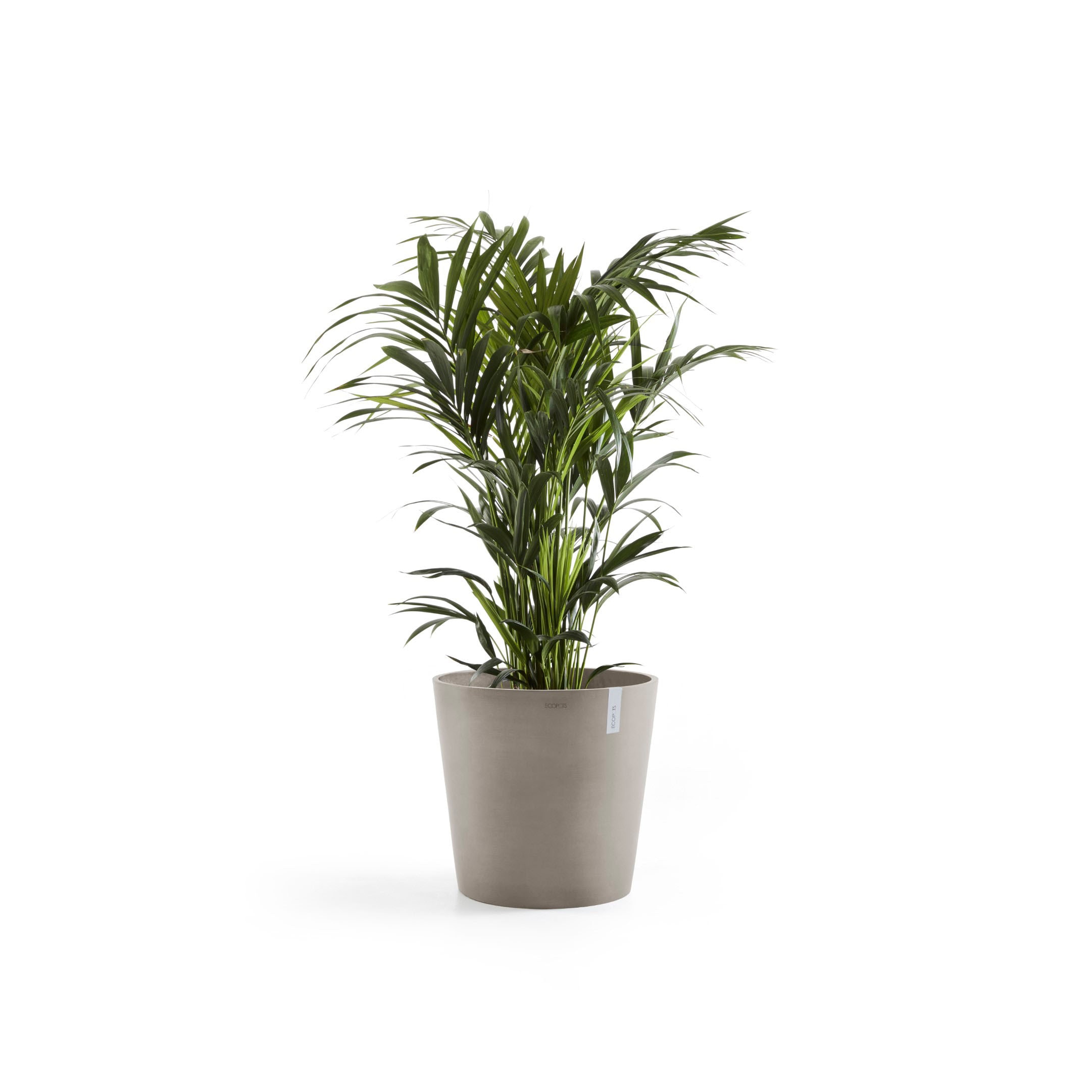 ECOPOTS Blumentopf »Amsterdam«, ØxH: 50x43,8 cm