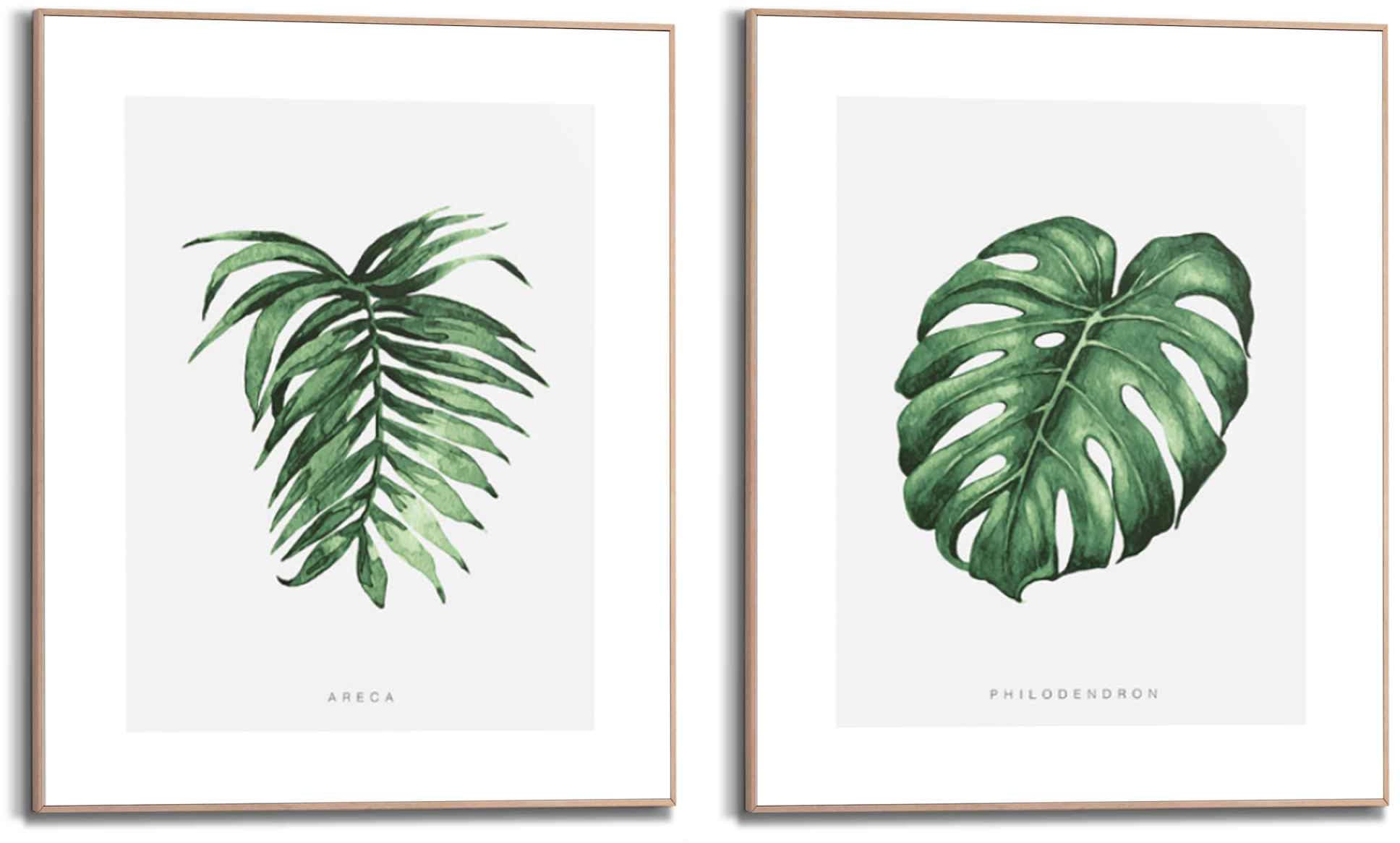 Reinders! Wandbild »Wandbilder Set Naturmotiv Philodendron - Pflanze - Areca - Palme«, Natur, (2 St.)