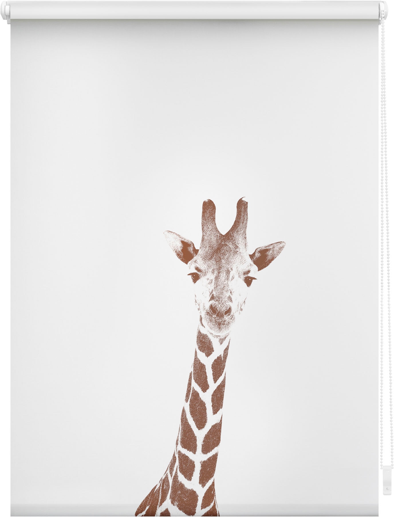 LICHTBLICK ORIGINAL Seitenzugrollo "Rollo Klemmfix, ohne Bohren, blickdicht, Giraffe - Braun", blickdicht, Sichtschutz-B