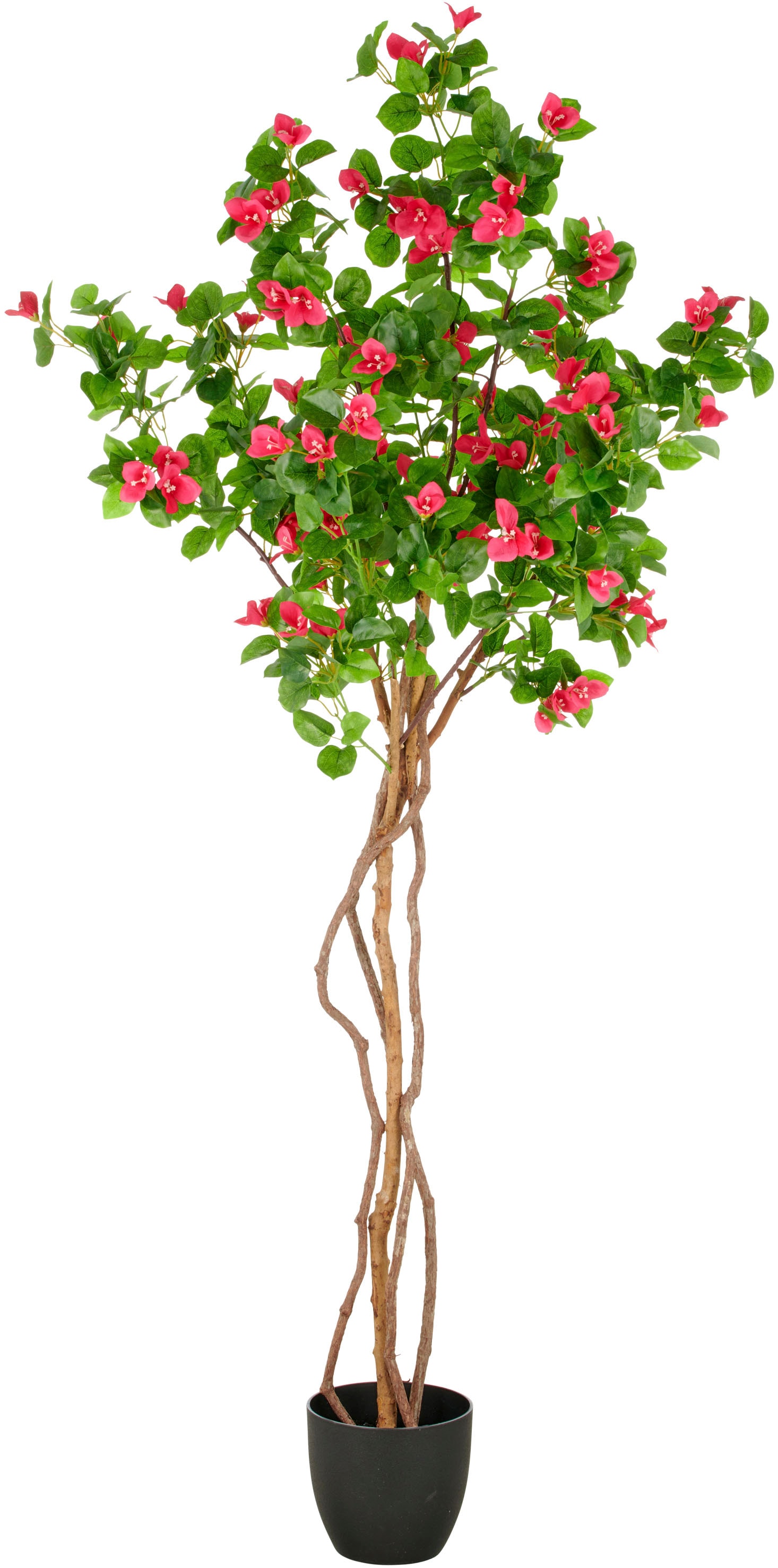 Creativ green Kunstbaum "Bougainvillea", mit schön geformtem Stamm günstig online kaufen