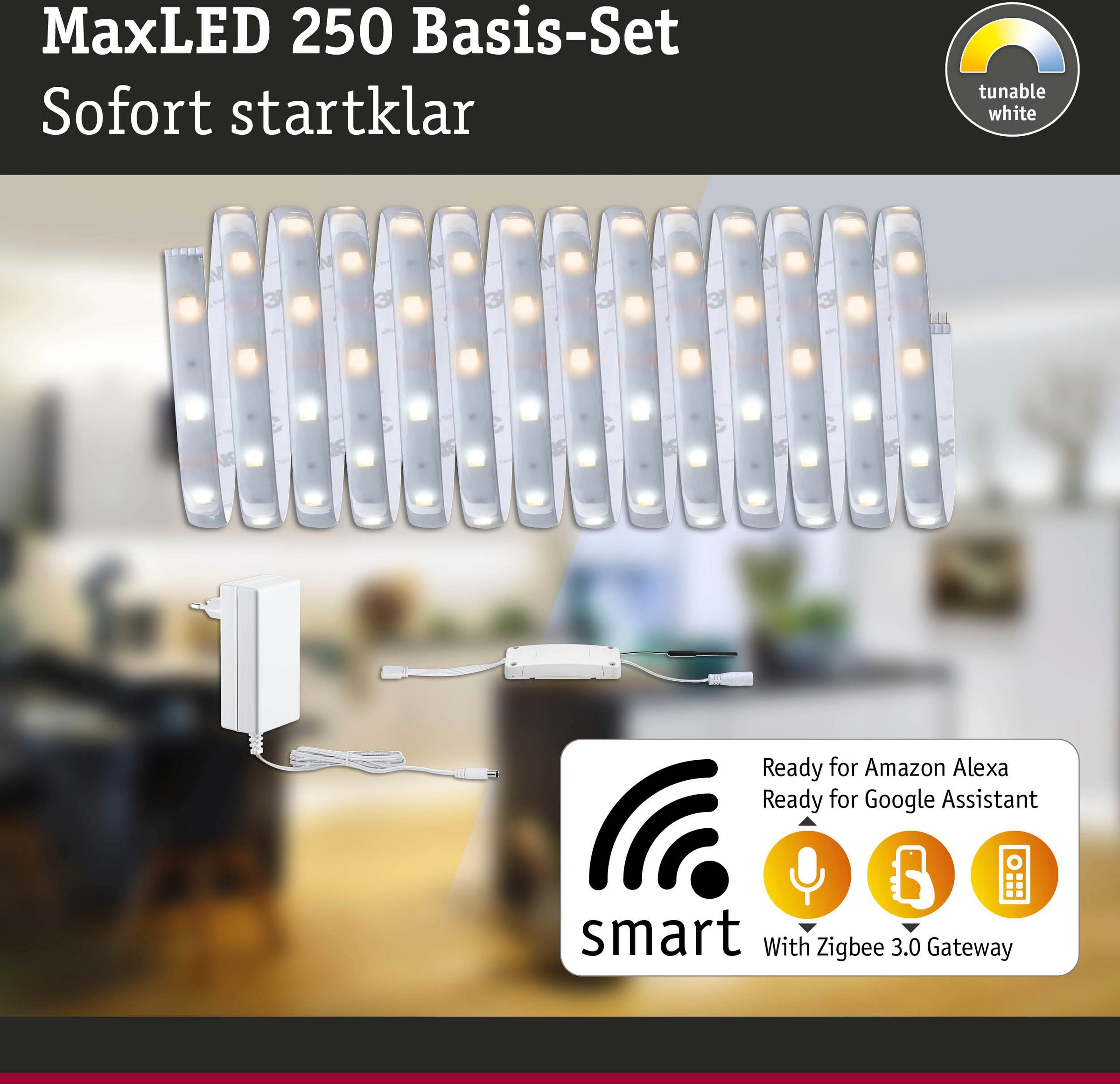 Black Friday Paulmann LED-Streifen 1 Tunable Zigbee White, BAUR 5m, »MaxLED St.-flammig, Smart Home 135«, IP44 beschichtet 250 Basisset | 18W