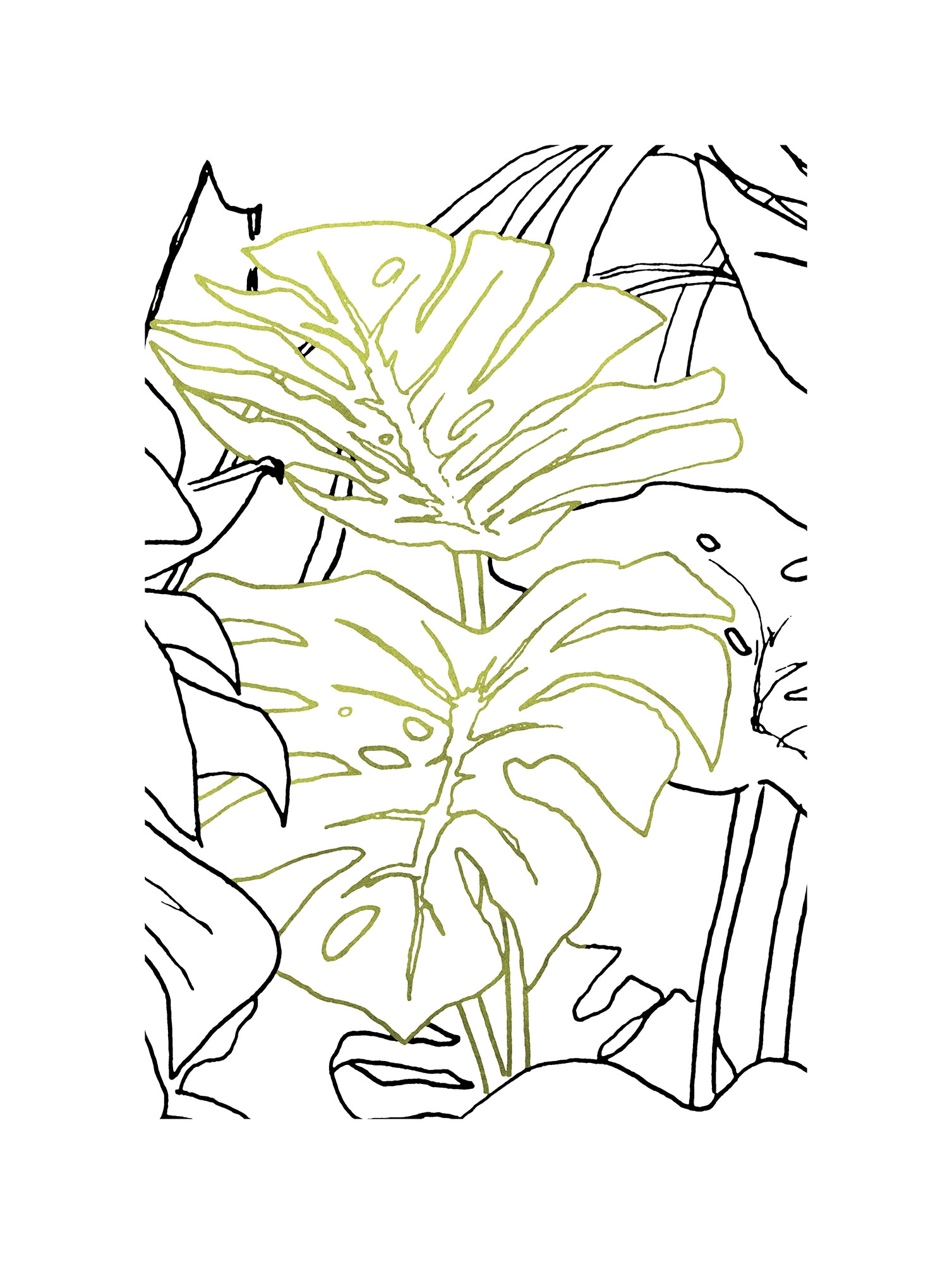 Komar Bild "Monstera Borsigiana", Natur, (1 St.), Wandbild zur Dekoration - günstig online kaufen