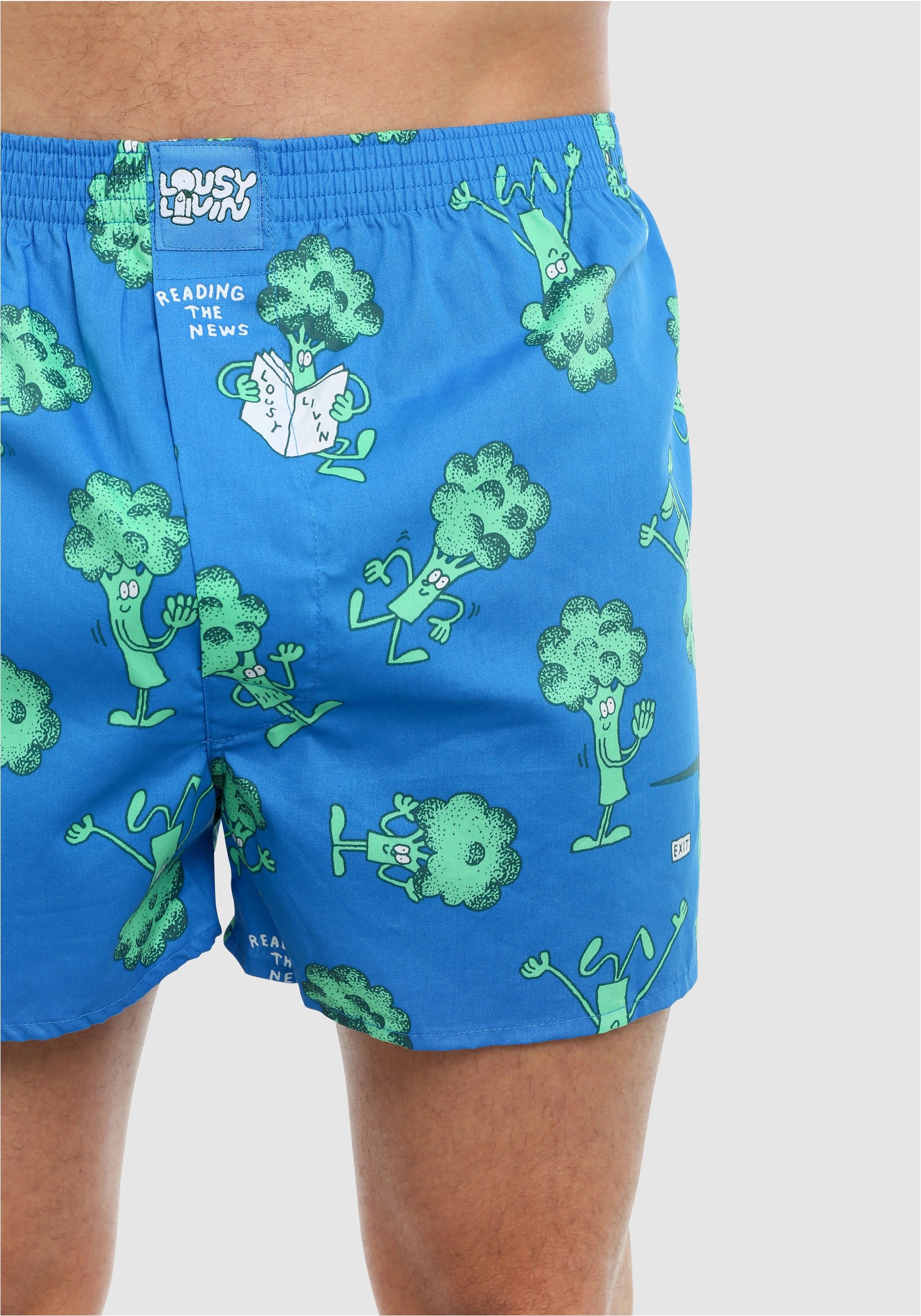 Lousy Livin Boxershorts »2 Pack Avocado & Broccoli« 2 Stk. tlg., Locker geschnitten