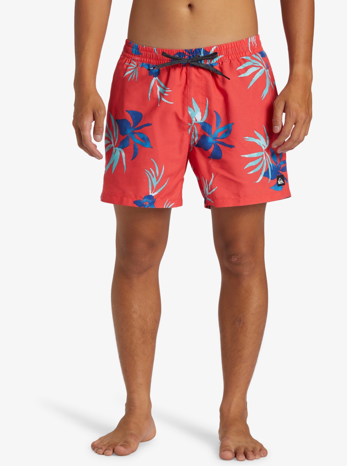 Quiksilver Maudymosi šortai »Everyday derinys Vol...