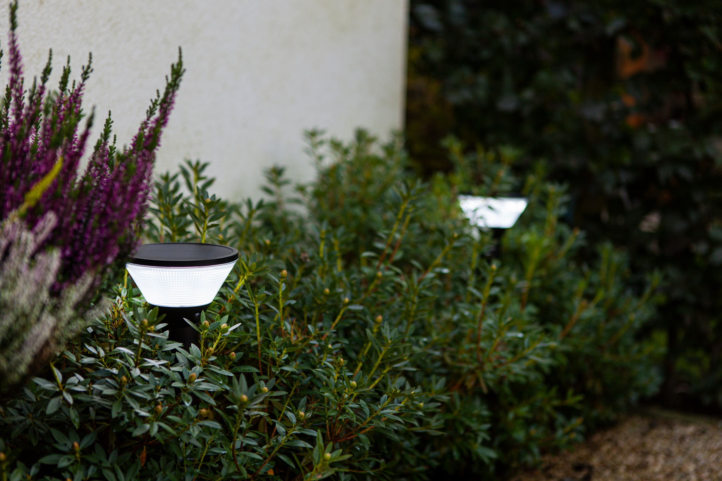 LUTEC LED Solarleuchte "LED-Solar-Aussenstehl. KARLO" LED-Board RGB günstig online kaufen