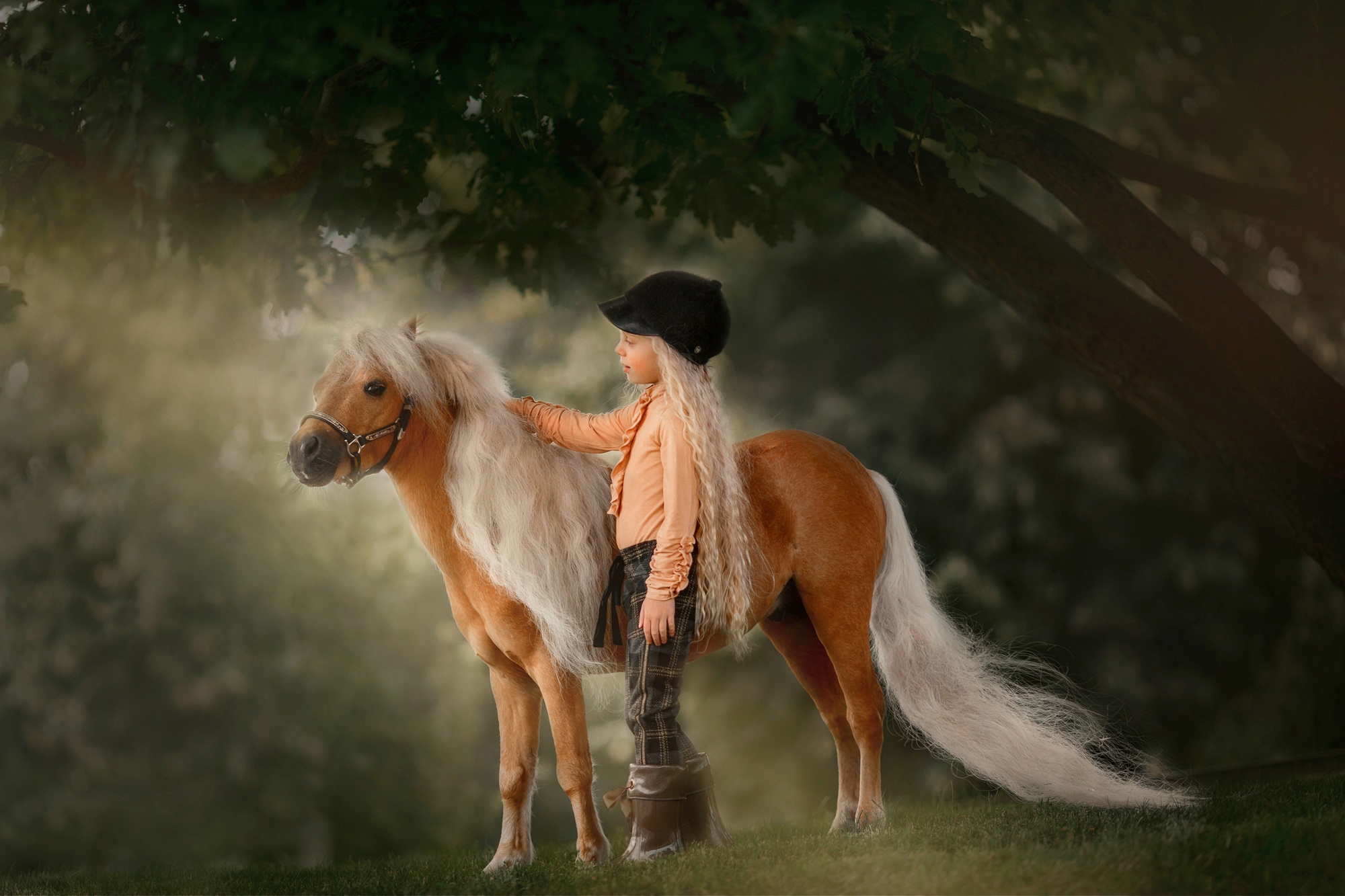 Papermoon Fototapete "PALOMINO MINIATURE PFERD-MÄDCHEN WINTER TIER PONY MINI"