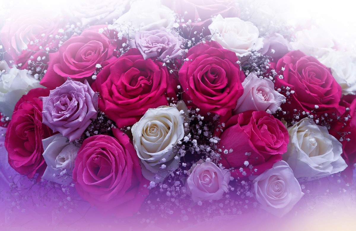 Fototapete PAPERMOON "ROSEN-BLUMEN FANTASIE ABSTRAKT KUNST TEXTUR DESIGN ART", bunt, B:4m L:2,6m, Vlies, Tapeten - B/L: 4m x 2,6m, Bahnen: 8 Stk.