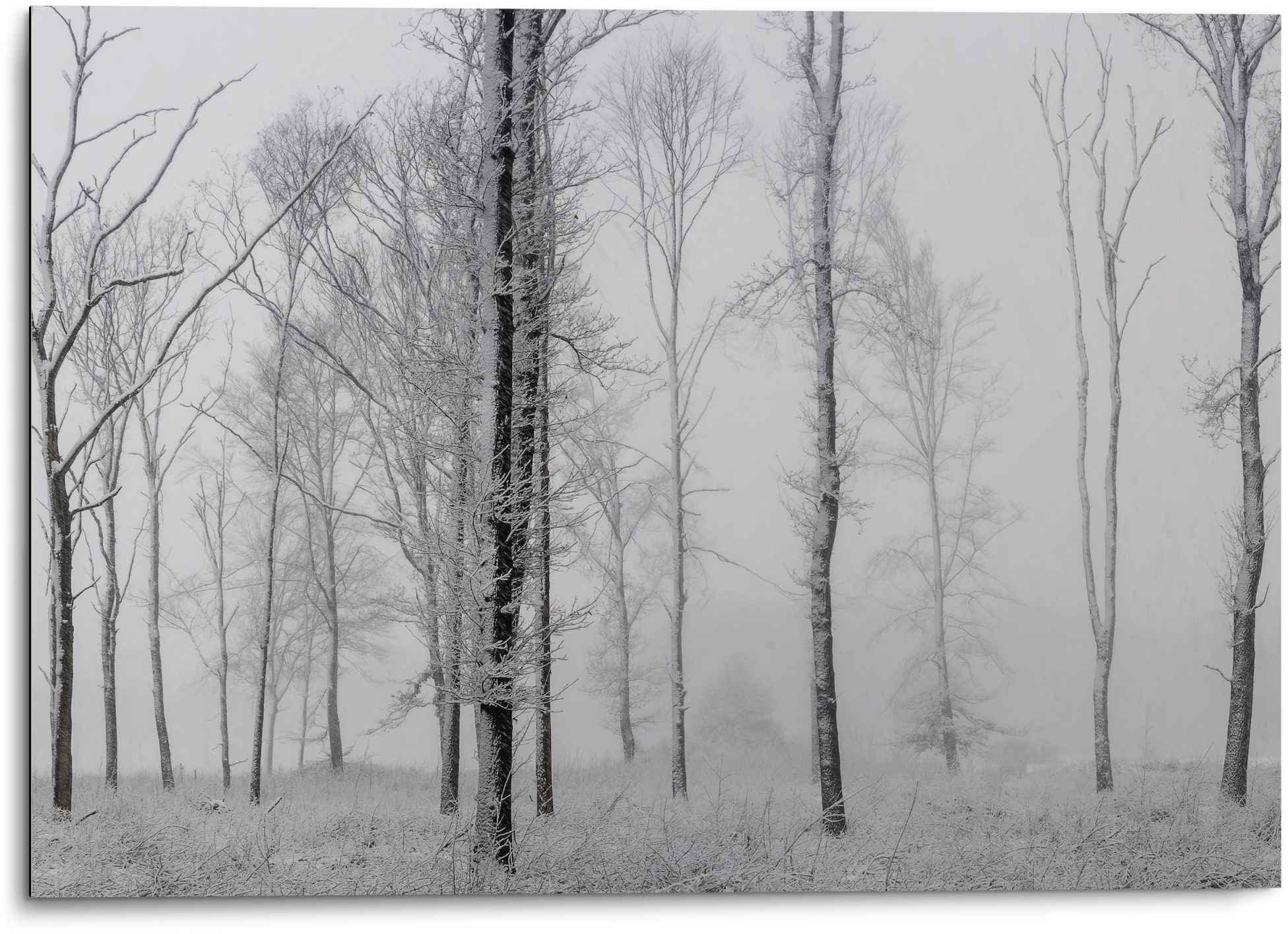 Reinders Wandbild "Aluminium Wandbild Still Natur - Schwarz-Weiss - Wald - Bäume", Stillleben, (1 St.)