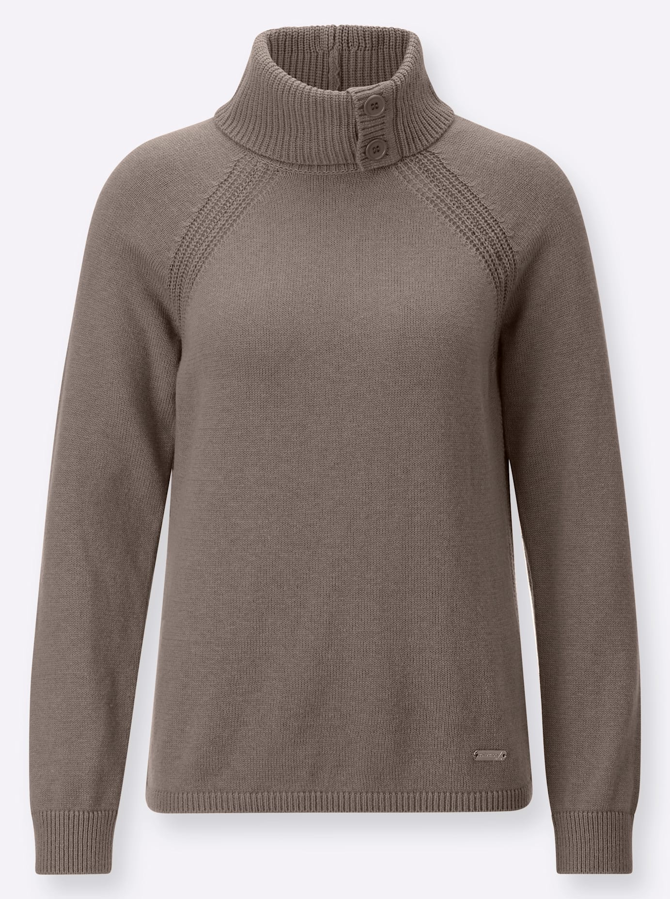 Casual Looks Rollkragenpullover »Rollkragen-Pullover«