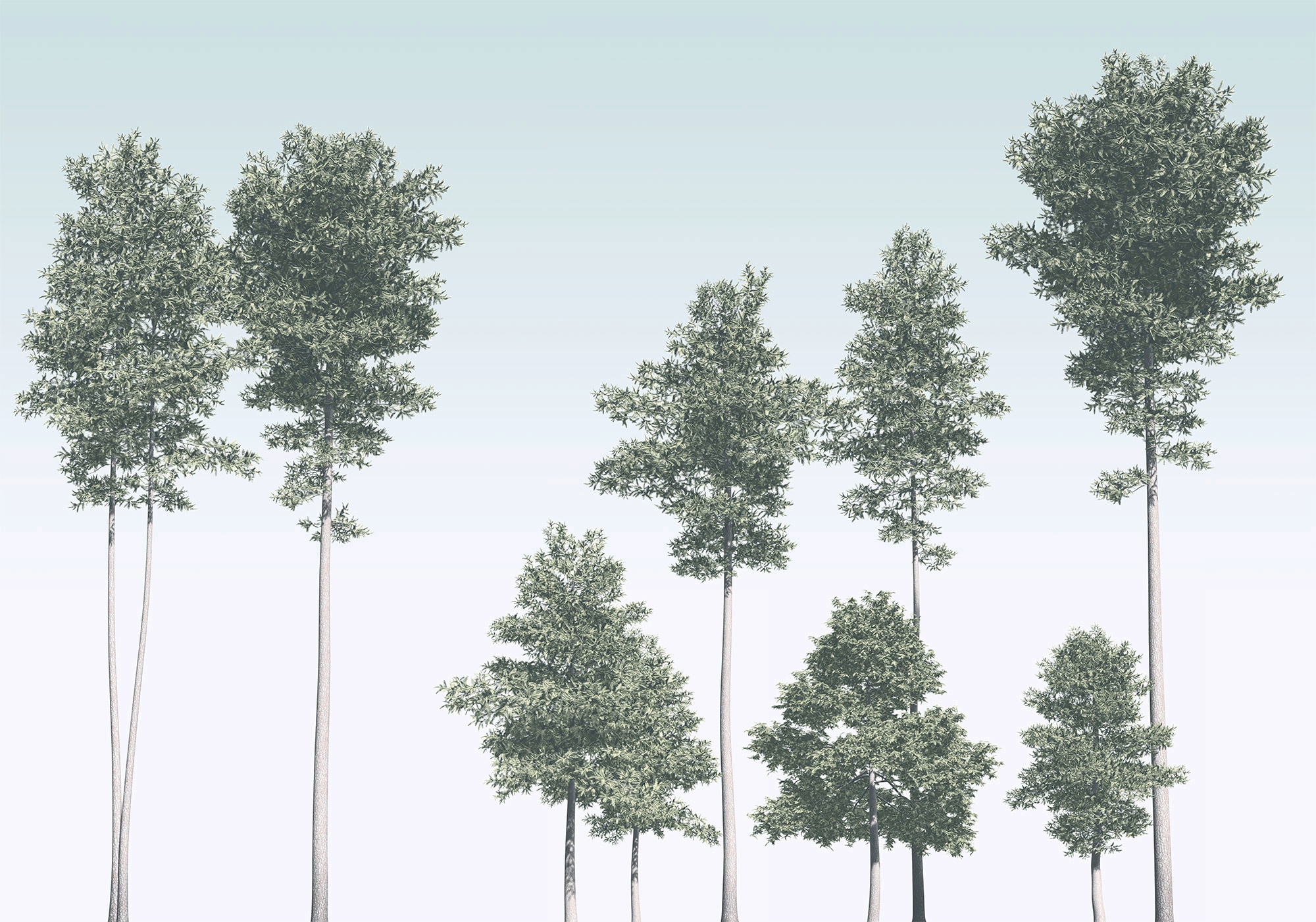 Komar Vliestapete »Pines« 400x280 cm (Breite...