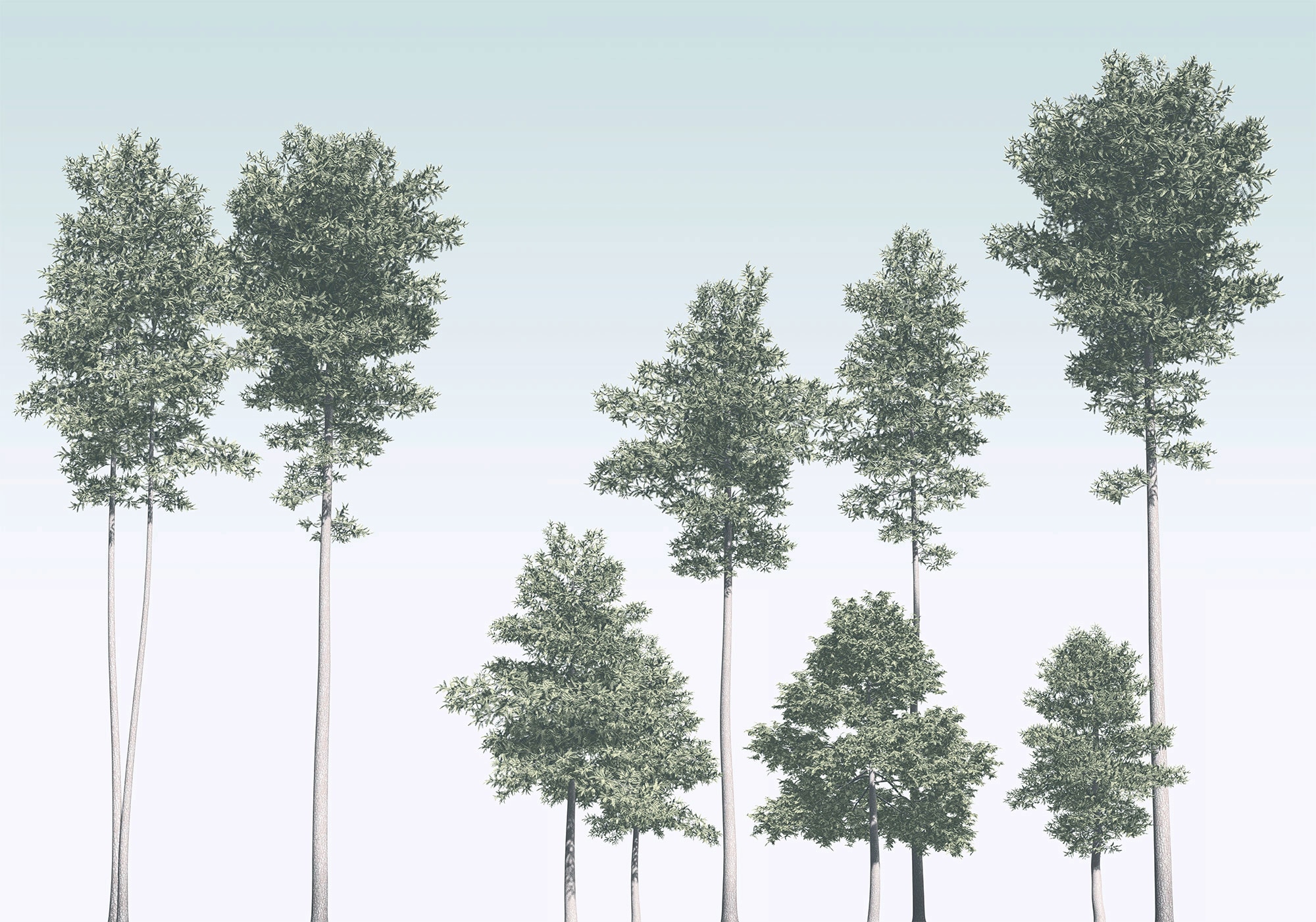 Komar Vliestapete "Pines", 400x280 cm (Breite x Höhe), Vliestapete, 100 cm Bahnbreite