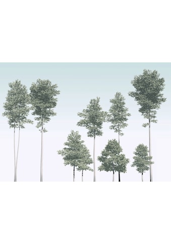 Komar Vliestapete »Pines« 400x280 cm (Breite...