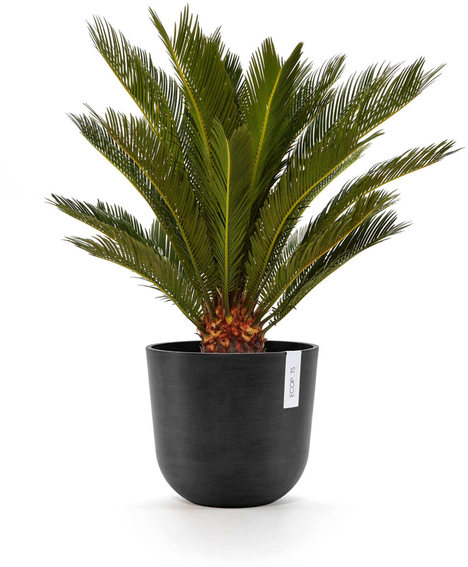 ECOPOTS Blumentopf »Oslo 25 Dunkelgrau«, für innen und außen: frostsicher, bruchsicher und lichtbeständig
