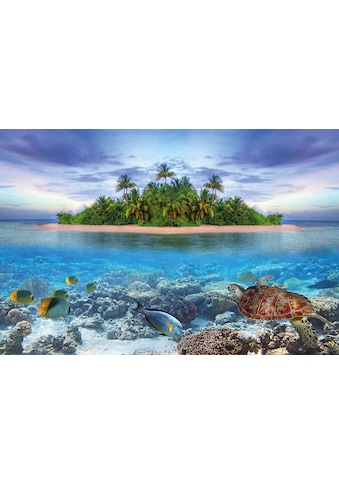 Fototapete »Marine Life Maldives«