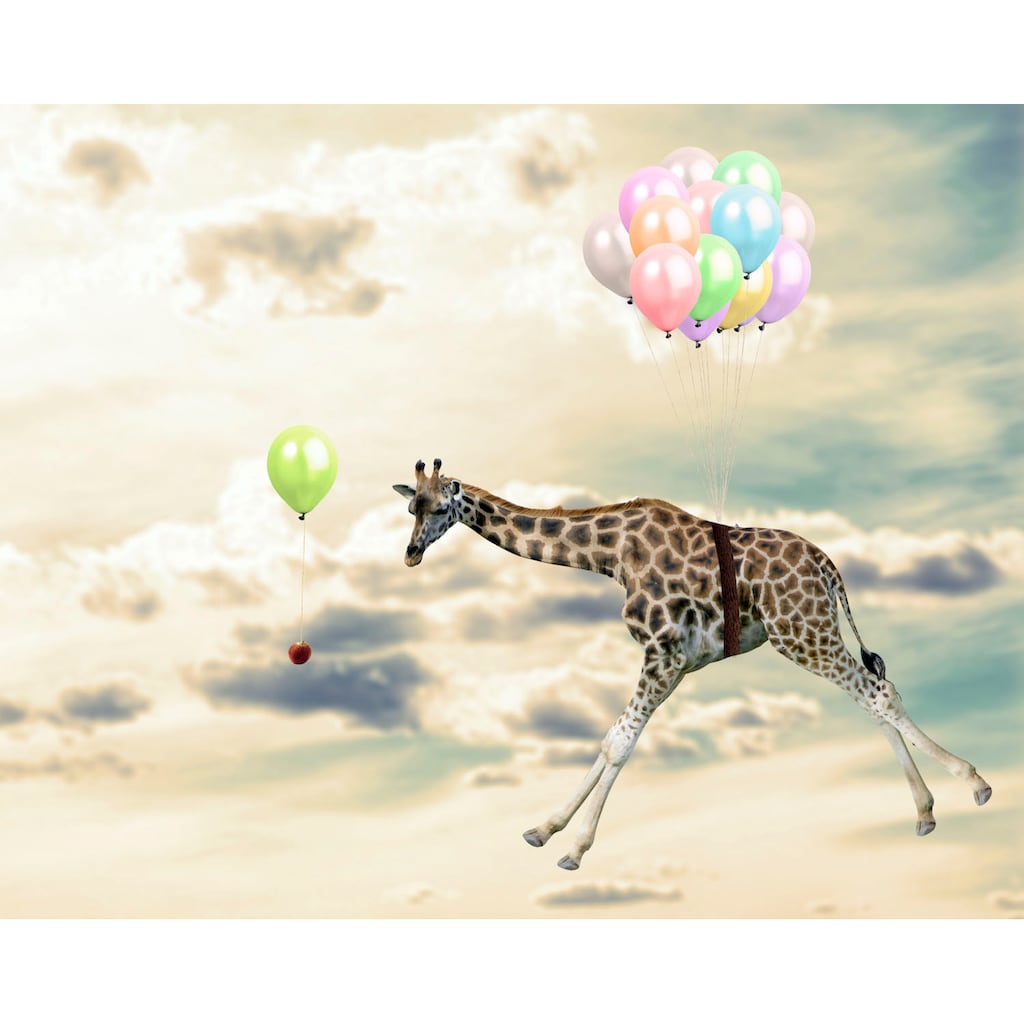 queence Acrylglasbild »fliegende Giraffe«