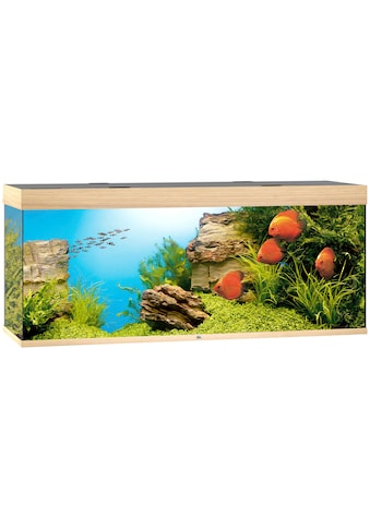 JUWEL AQUARIEN Akvariumas »Rio 450 LED« BxTxH: 151x51...