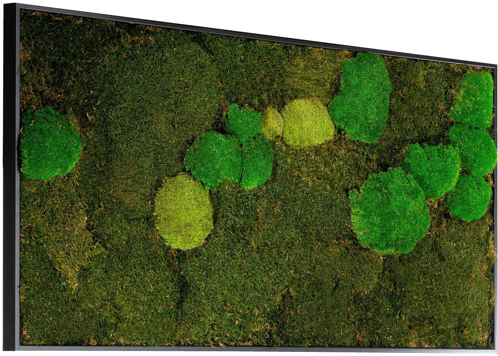 Bönninghoff Bild mit Rahmen "Mixmoos" Natur 1 Stk. tlg. jedes Bild ein Unik günstig online kaufen