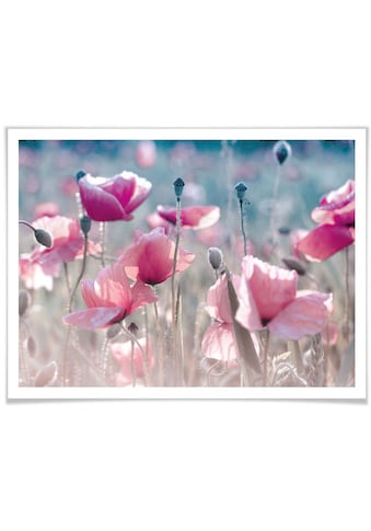 Wall-Art Poster »Mohnblumen Wiese« Blumen (1 St...