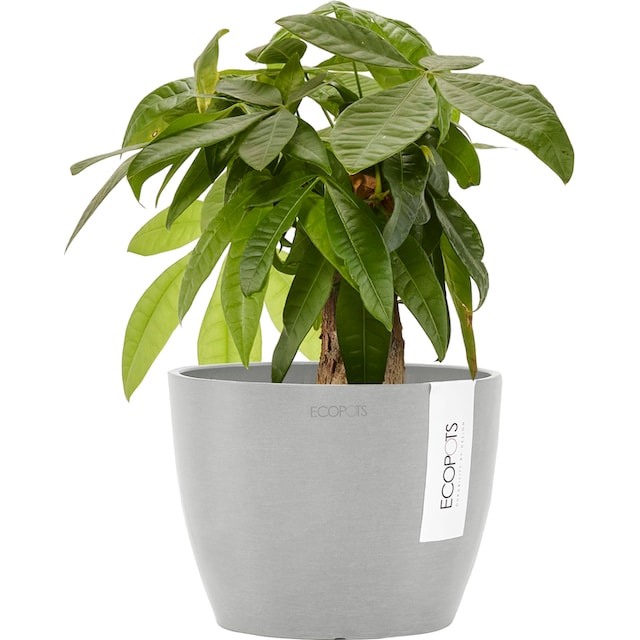 Black Friday ECOPOTS Blumentopf »STOCKHOLM White Grey«, BxTxH: 16x165x12,5  cm | BAUR