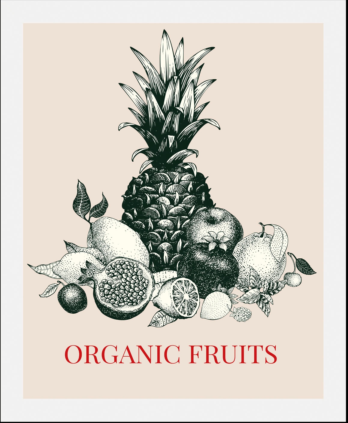 queence Bild "Organic Fruits", Obst-Obst Bilder-Schriftzug-Kunst-Pflanzen-P günstig online kaufen