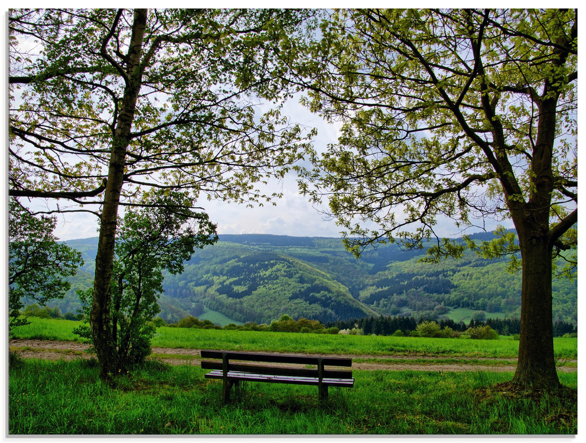 Artland Glasbild »Ausblick in den Frühling«, Felder, (1 St.), in verschiedenen Größen