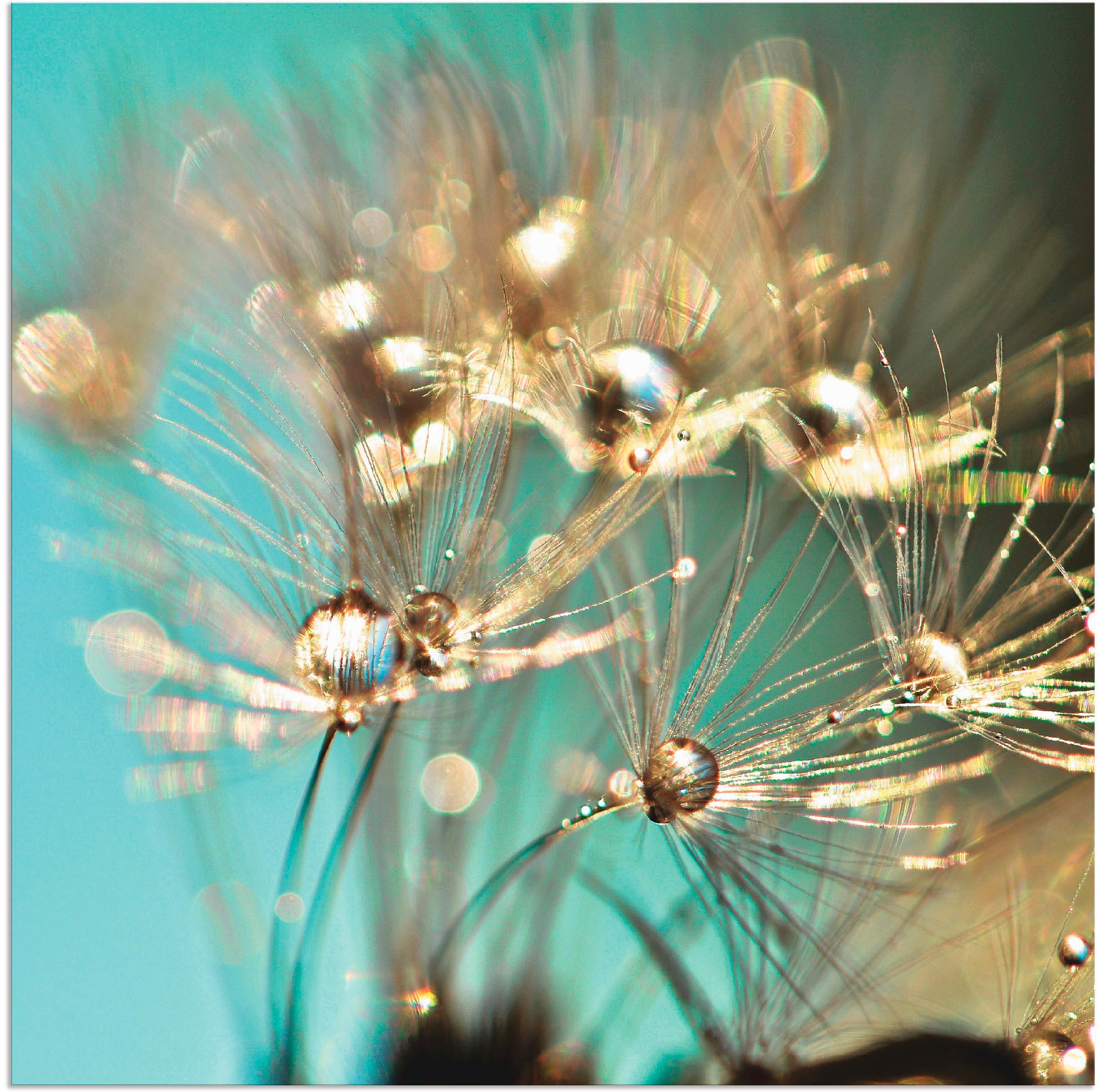 Artland Wandbild "Pusteblume glänzendes Gold", Blumen, (1 St.), als Alubild günstig online kaufen