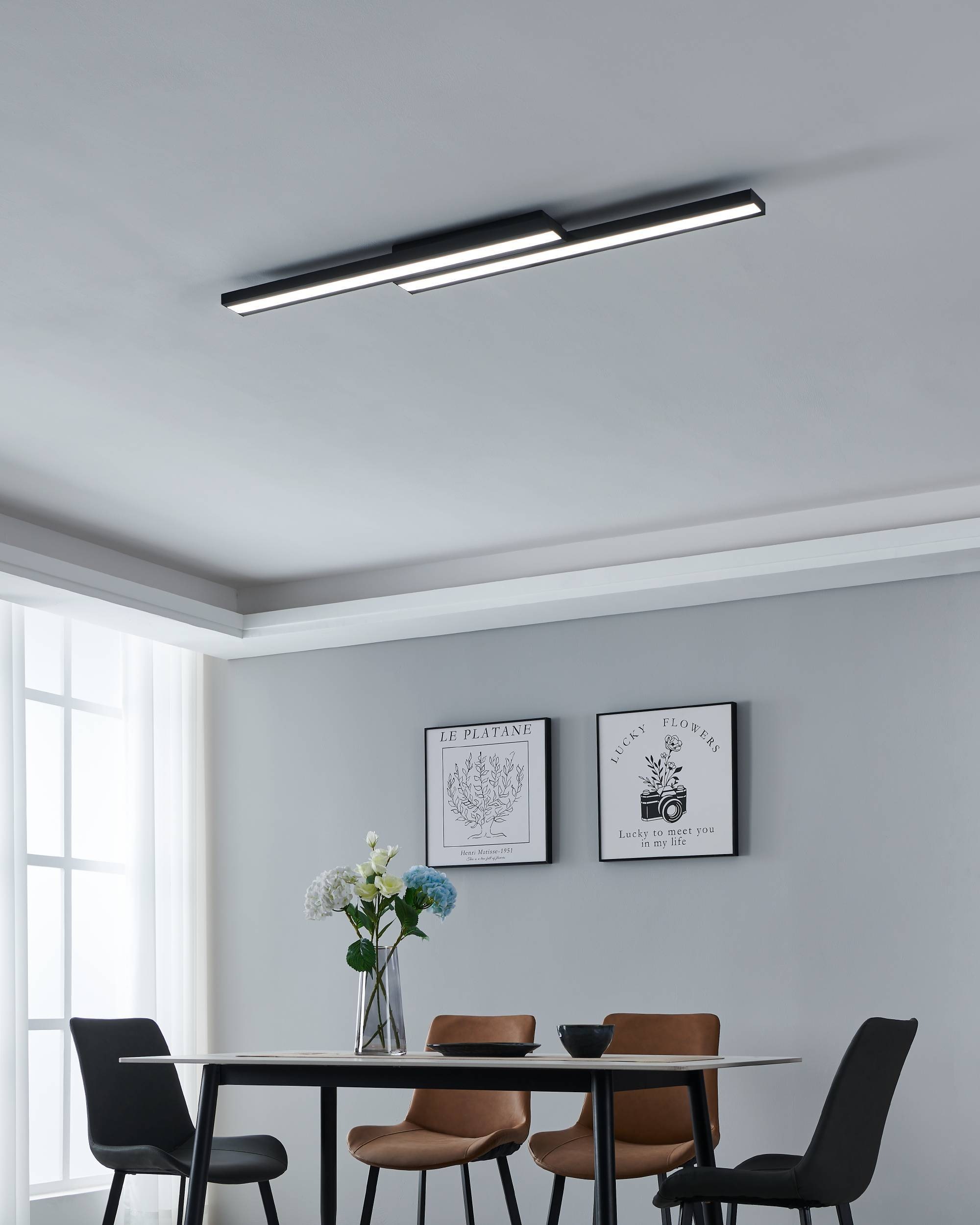 EGLO Deckenleuchte »SALITERAS-Z« in schwarz aus Stahl / inkl. LED fest integriert - 2 x 10,2 Watt