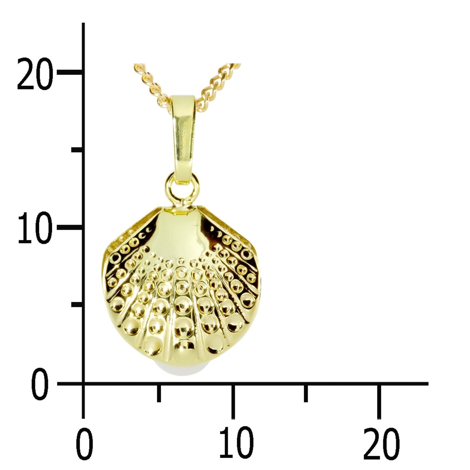 OSTSEE-SCHMUCK Kette und Anhänger Set »- Muschel - Gold 333/000 -,«