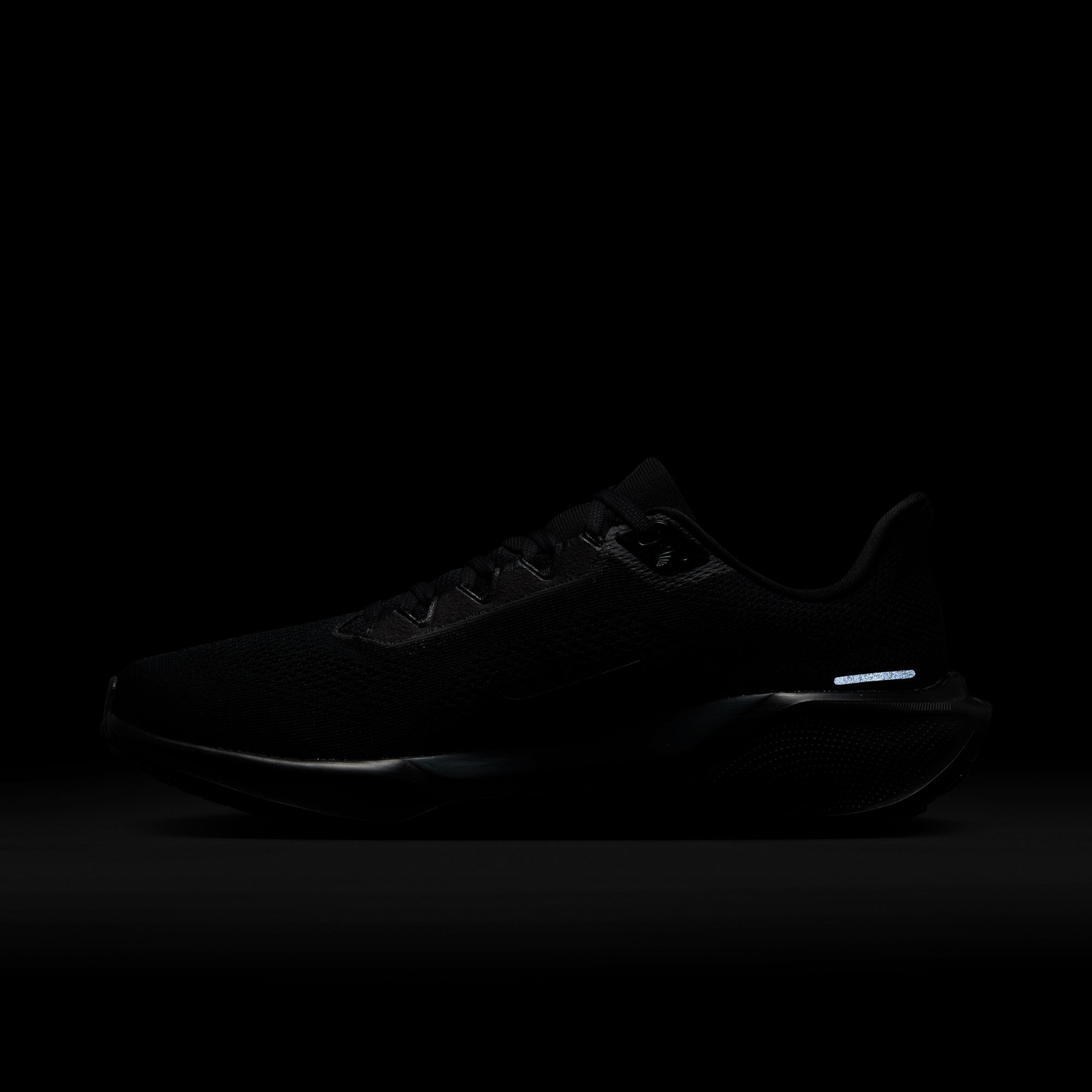 Nike Laufschuh »AIR ZOOM PEGASUS 41«
