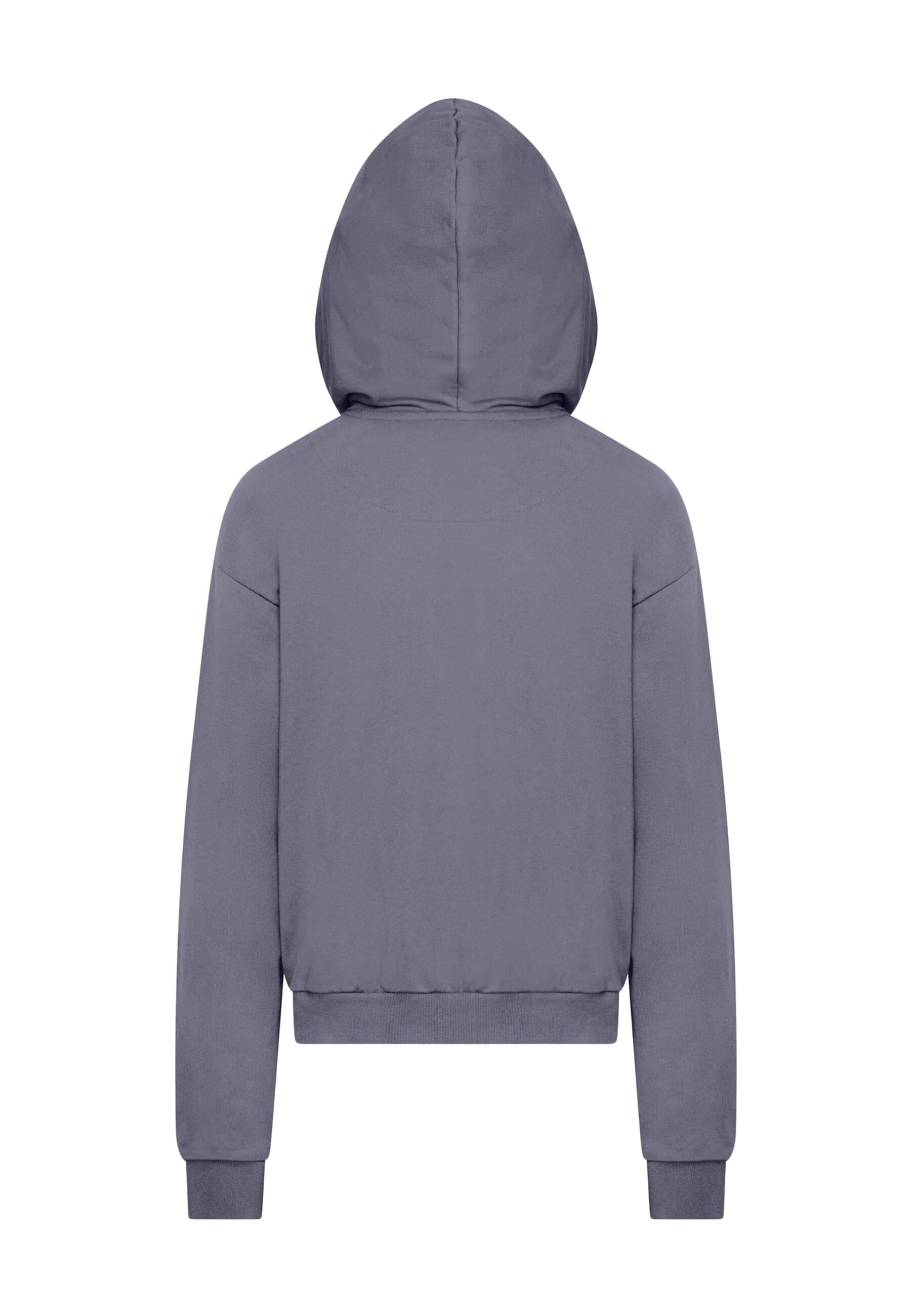 MisterTee Kapuzensweatshirt »MisterTee Flamingo Hoodie«, (1 tlg.)