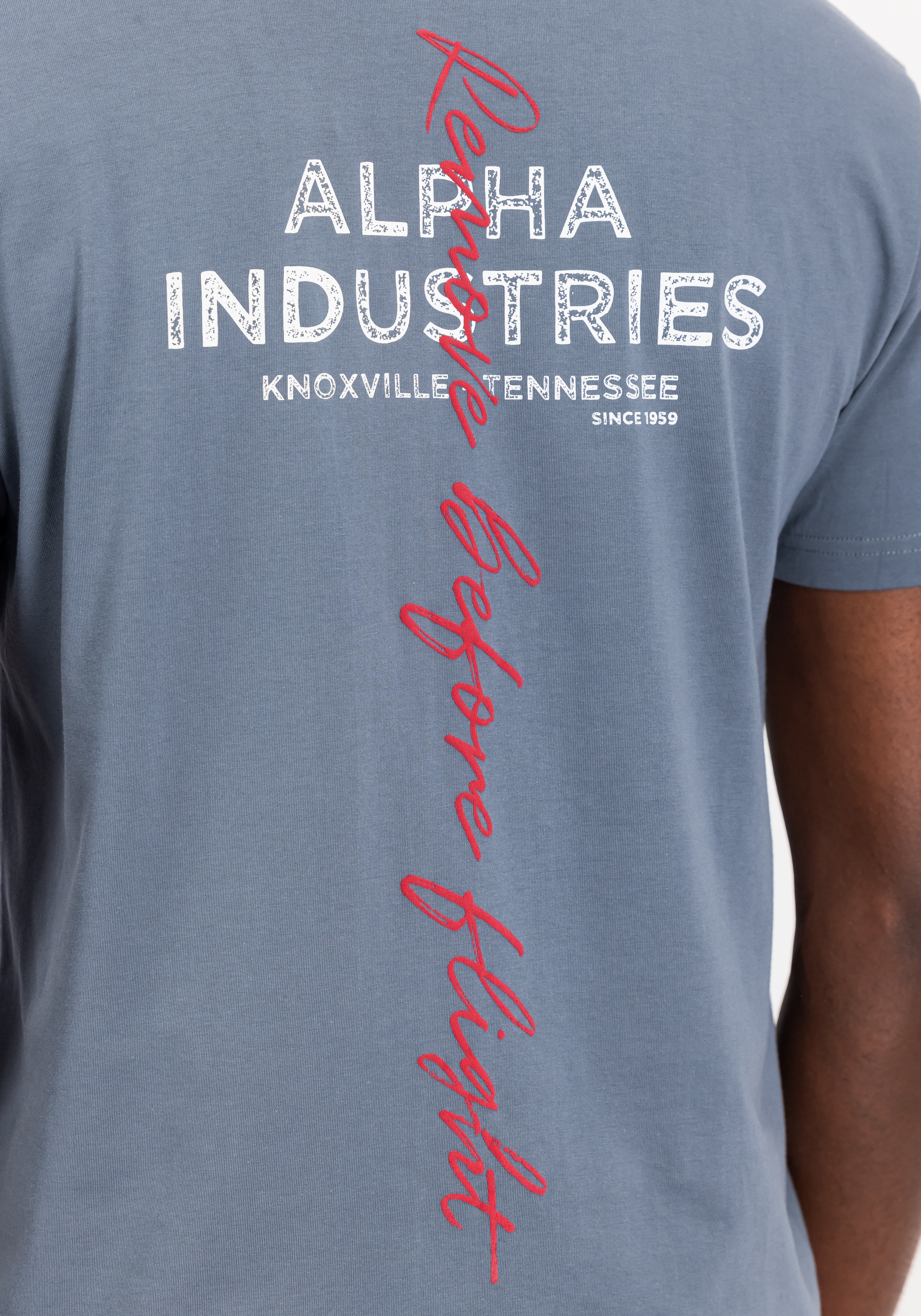 Alpha Industries T-Shirt »Signature Backprint T-Shirt«