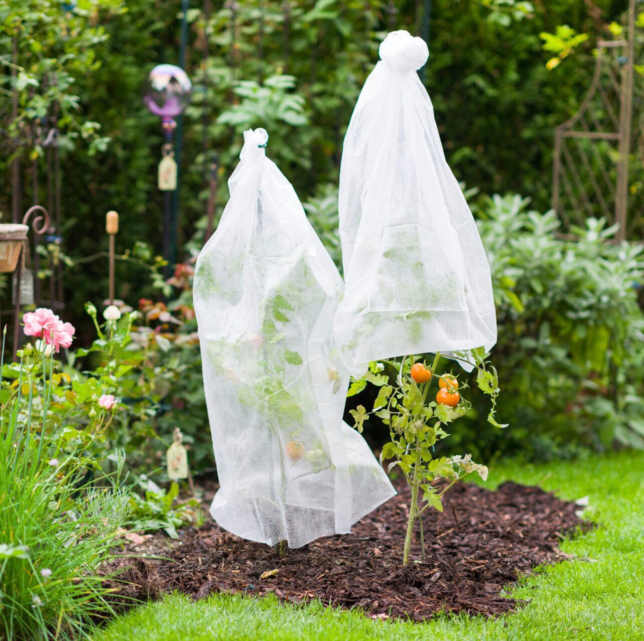 Windhager Winterschutzvlies »Wachstumsvlies«, Tomaten-Vliesschlauch, BxL: 75x1000 cm