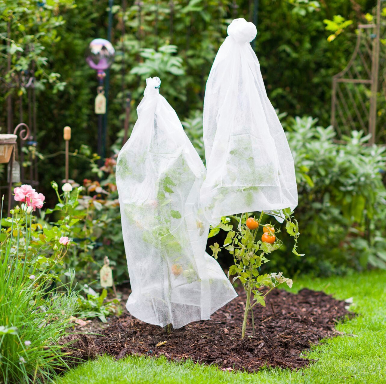 Windhager Winterschutzvlies "Wachstumsvlies", Tomaten-Vliesschlauch, BxL: 7 günstig online kaufen