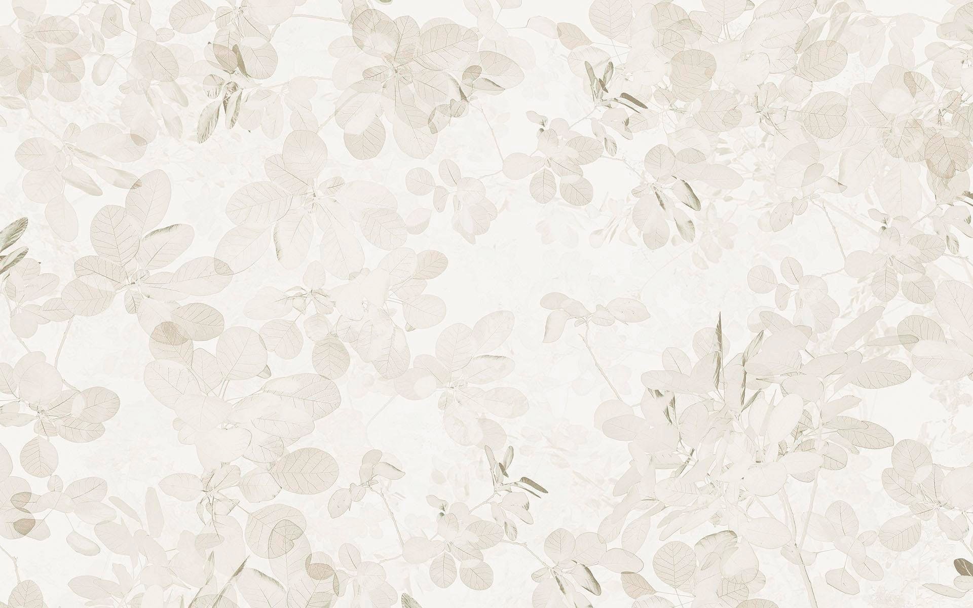 Komar Vliestapete »Sheer Grey« 400x250 cm (B...