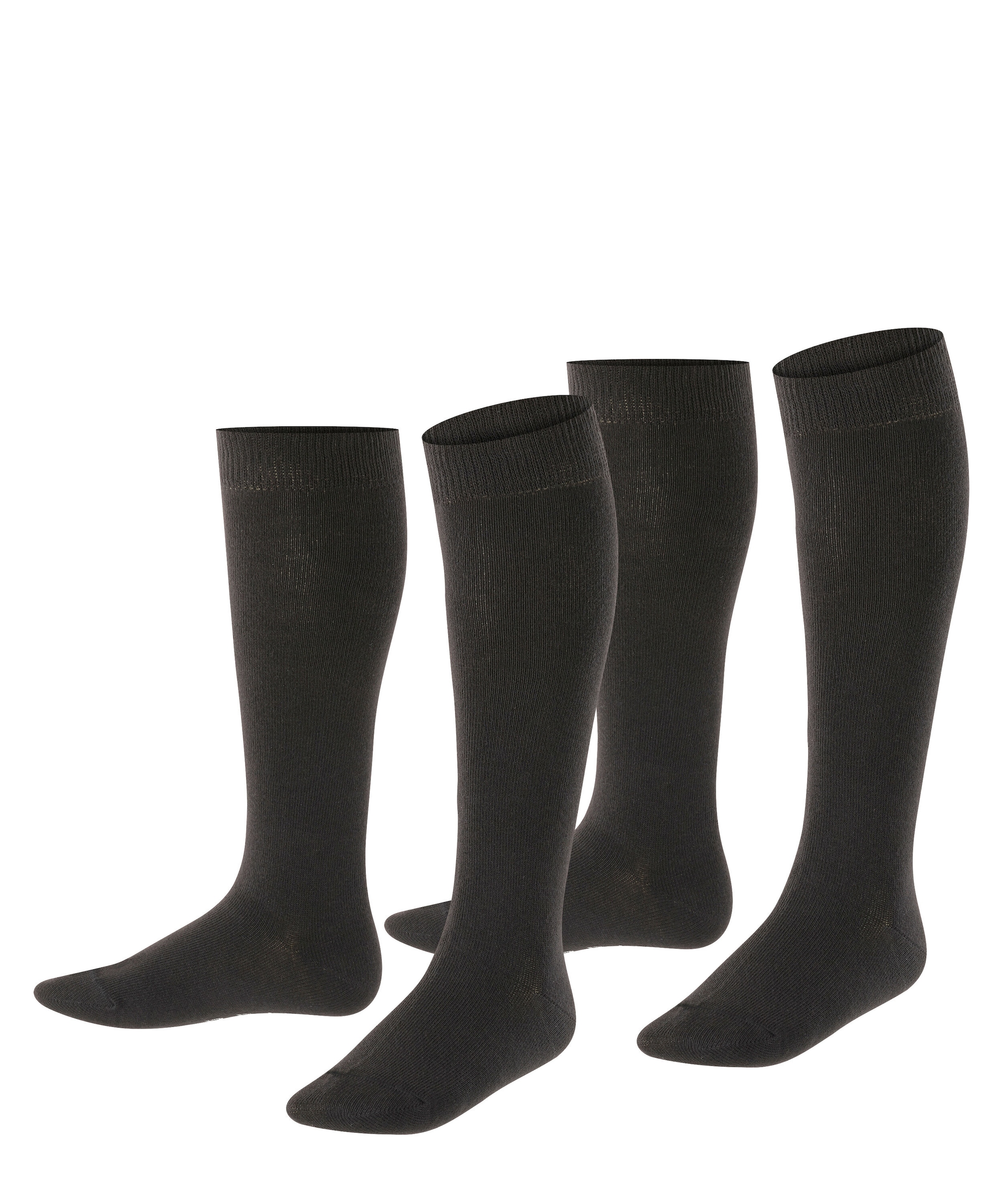 Esprit Kniestrümpfe "Foot Logo" 2 Paar, geripptes Bündchen, unifarben